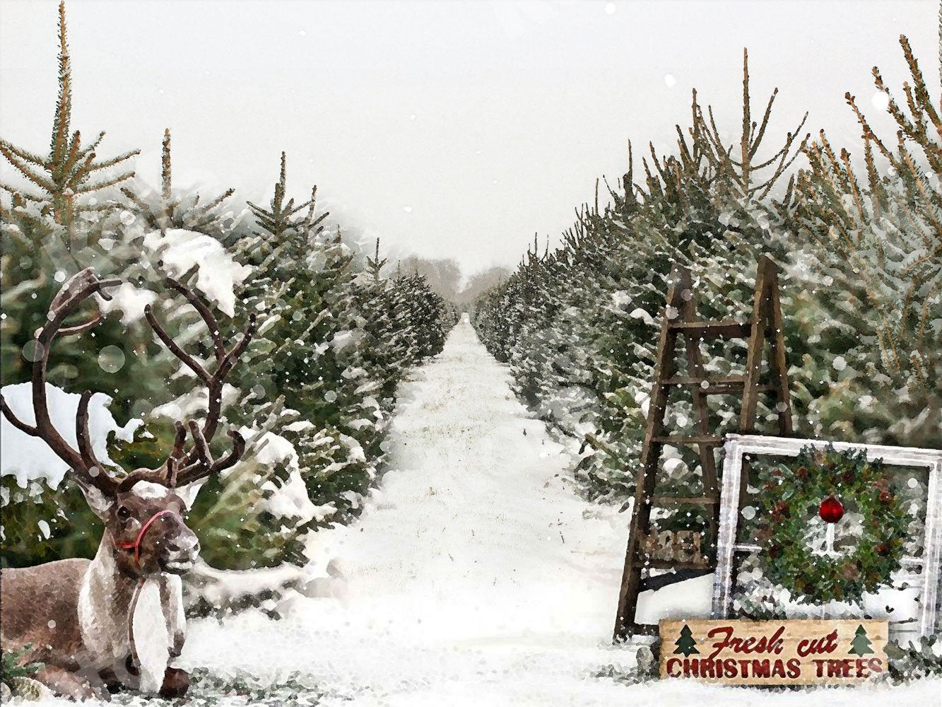 Kate Christmas Trees Sale Backdrop For Photography