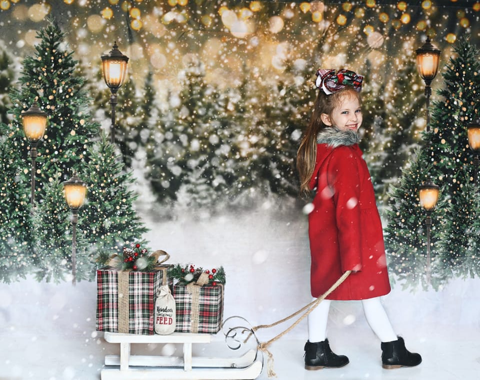 Kate Christmas Snow Forest Lights Backdrop for Photography - Kate Backdrop AU