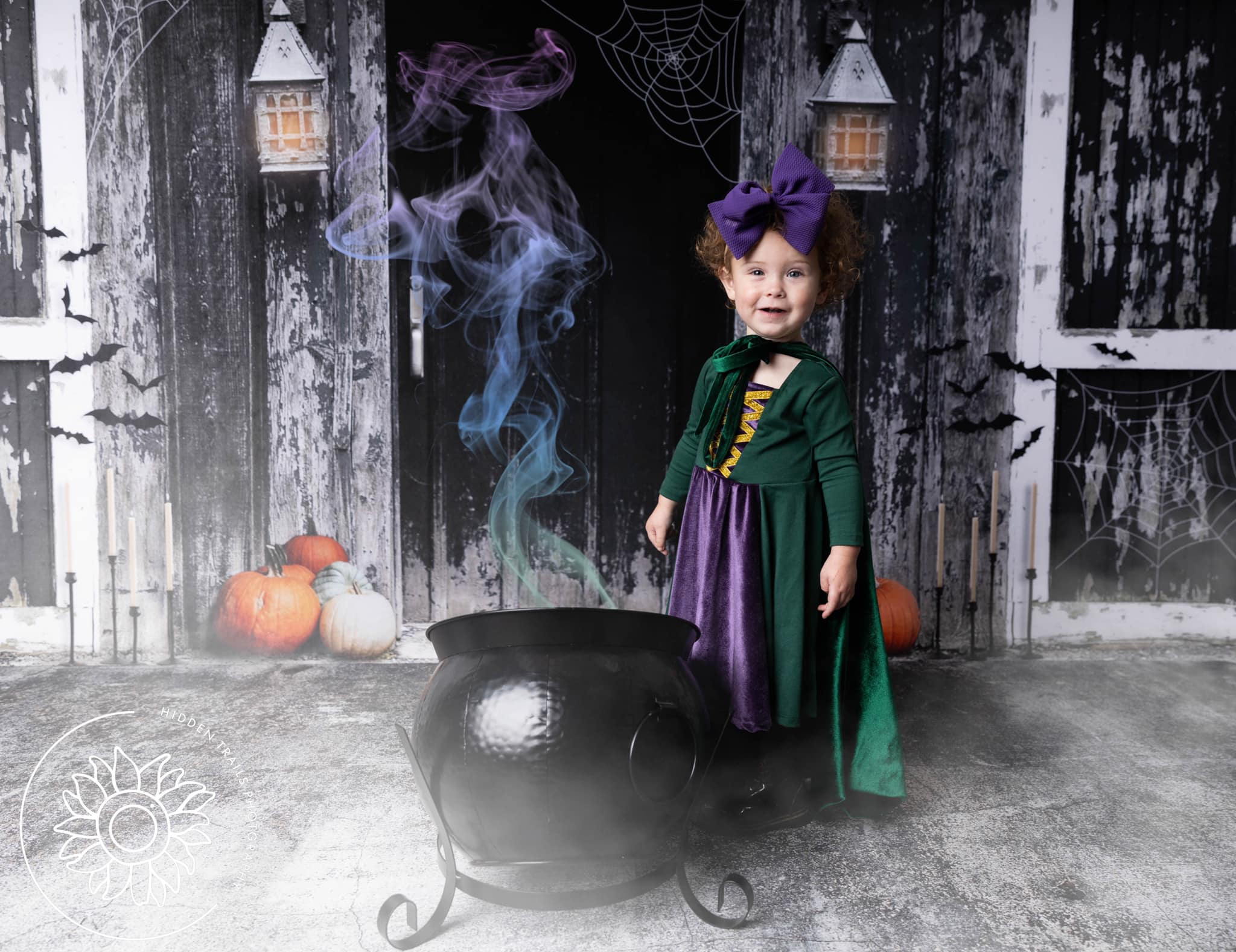 Kate Spooky Halloween Barn Backdrop Designed by Mandy Ringe Photography - Kate Backdrop AU