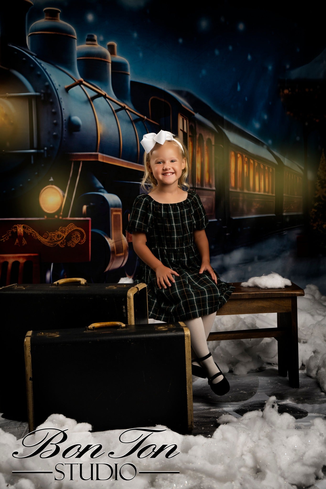 Kate Christmas Winter Train Backdrop for Photography