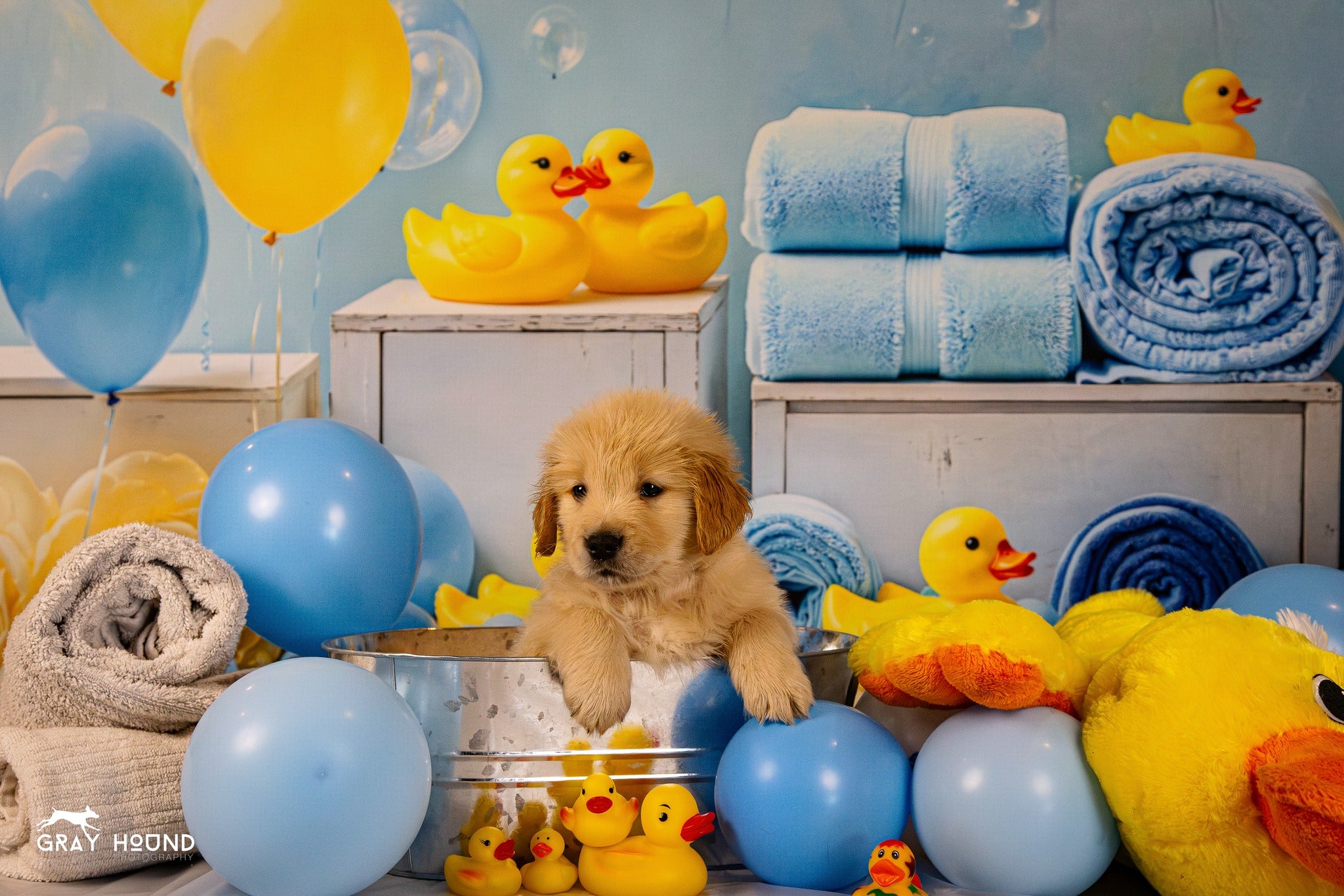 Kate baby Shower Duck Backdrop Designed by Emetselch