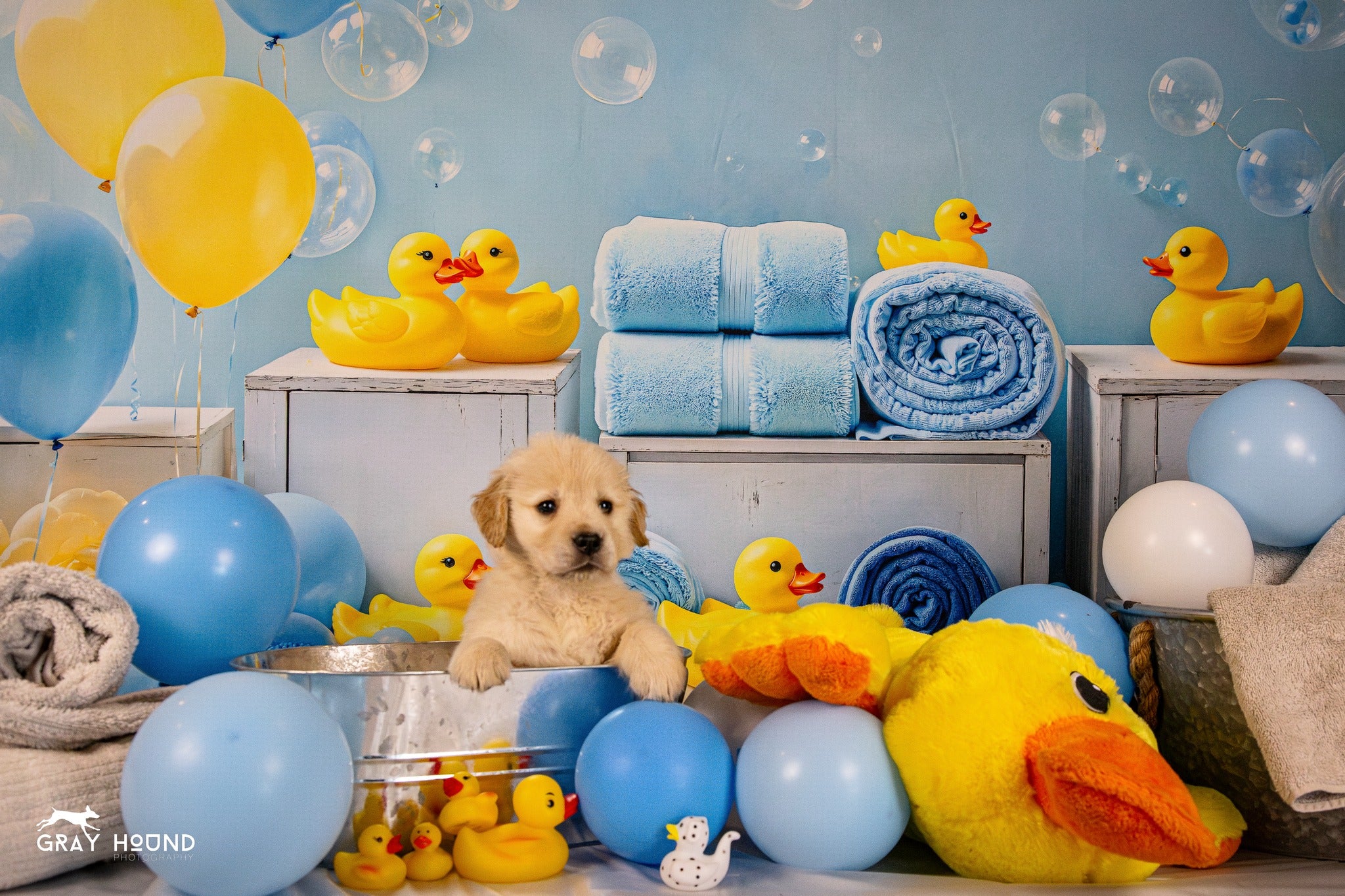 Kate baby Shower Duck Backdrop Designed by Emetselch