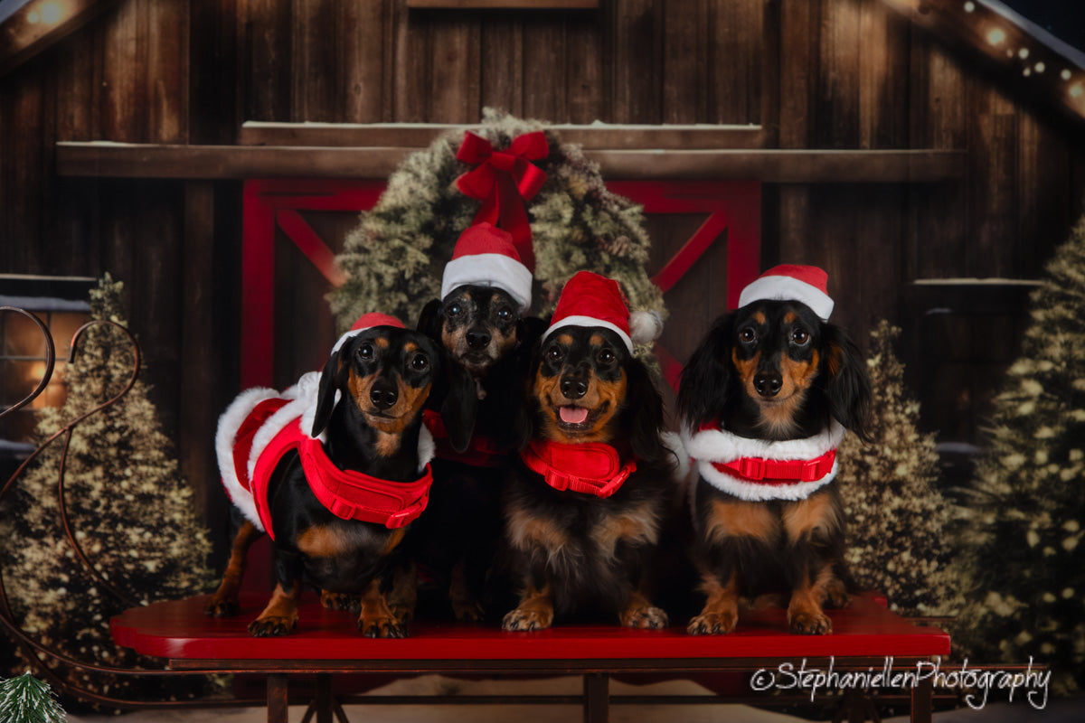 Kate Christmas Outdoor Snow House Backdrop for Photography