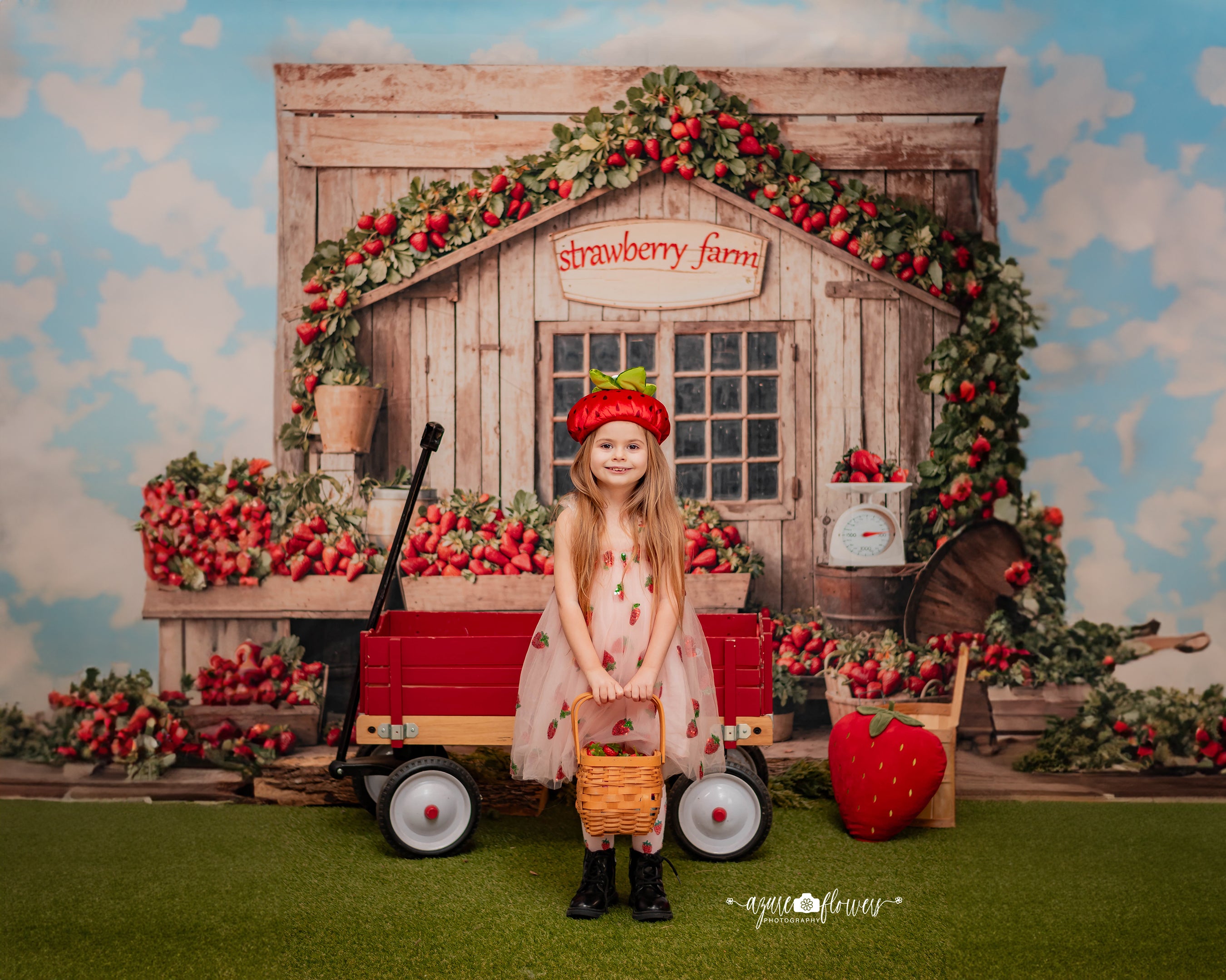 Kate Strawberry Farm Wooden House Backdrop Designed by Emetselch