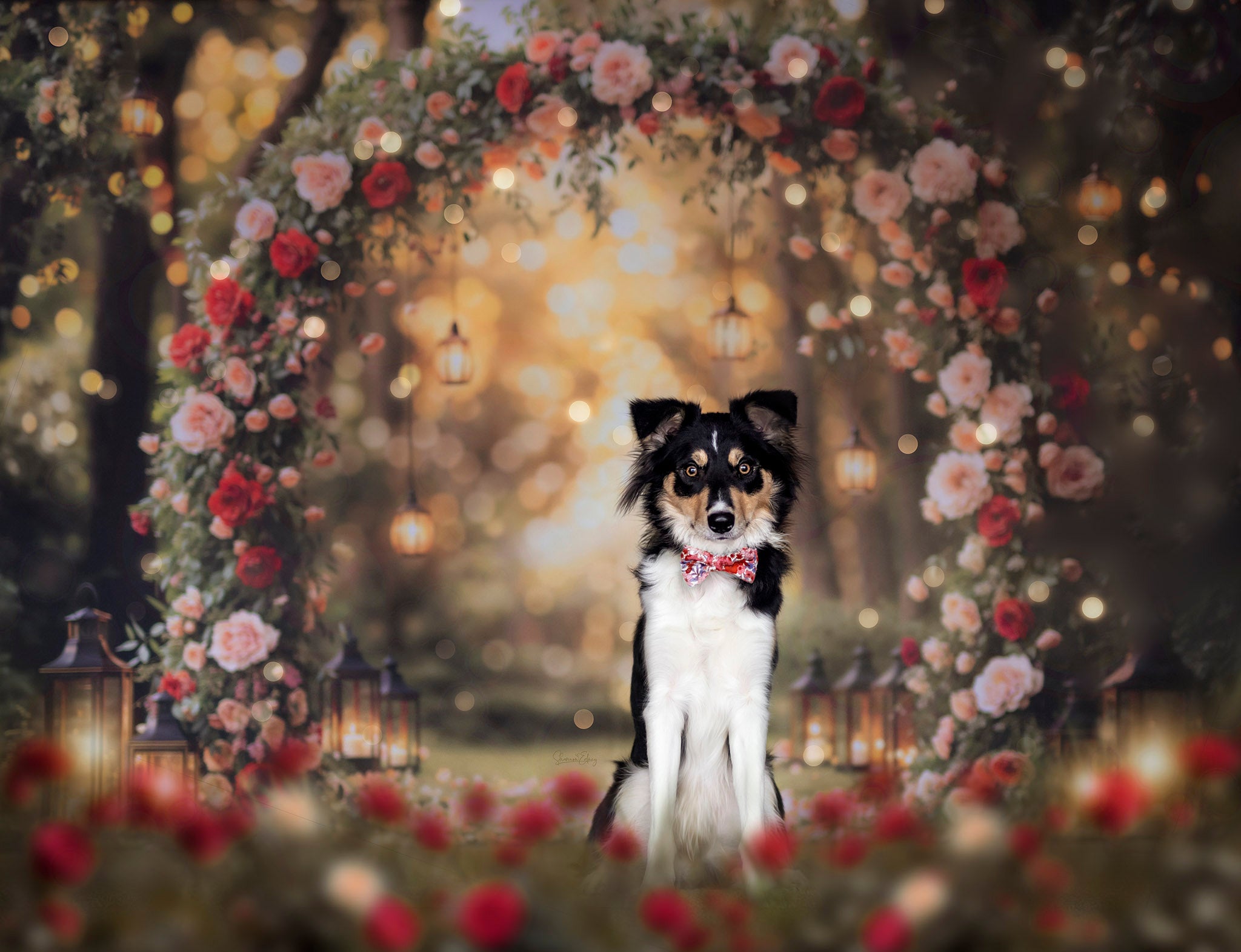 Kate Flower Arch Backdrop Valentine's Day Wedding Spring Designed by Emetselch