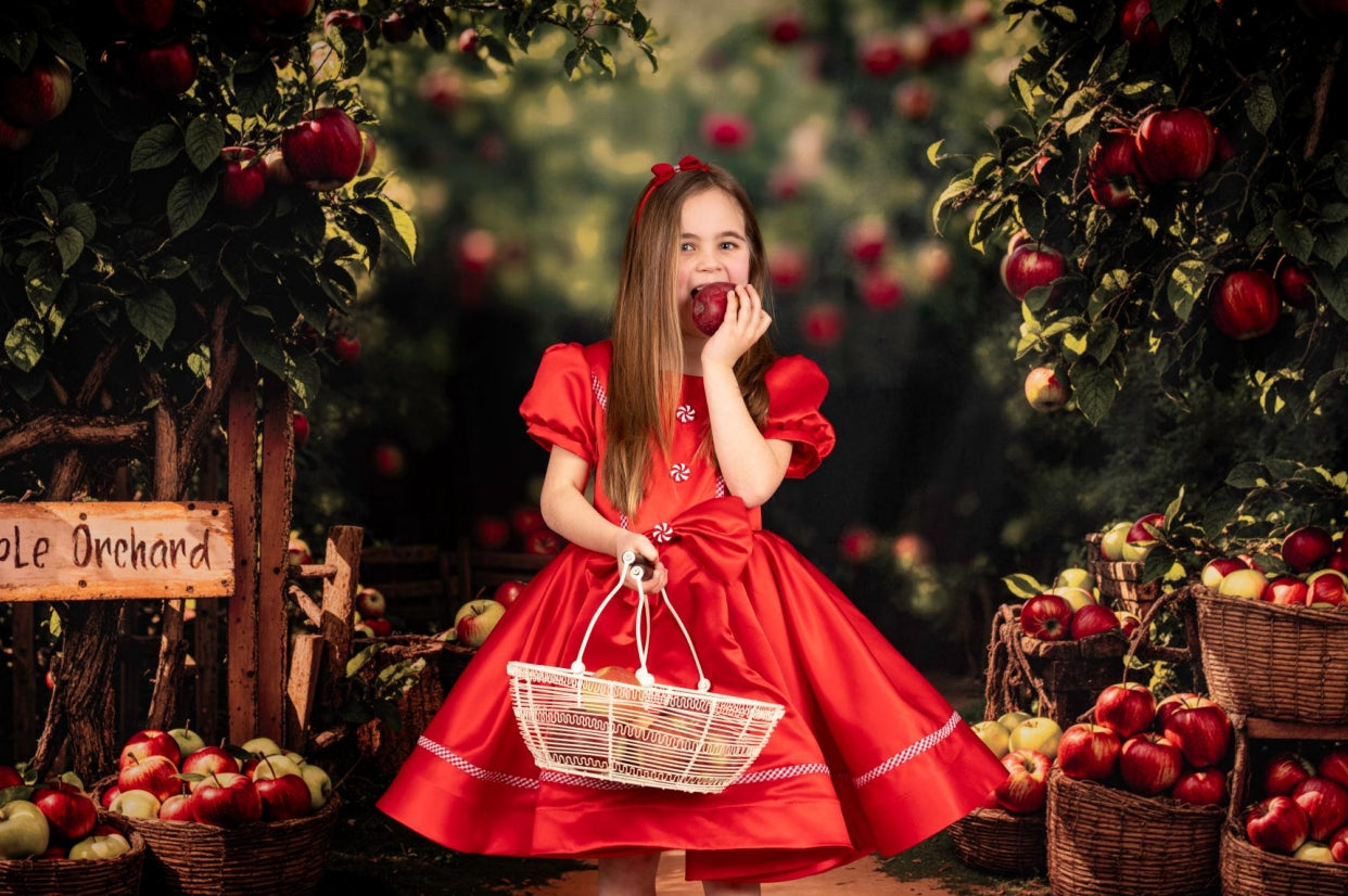 Kate Christmas Red Puff Sleeve Kids Dress for Photography