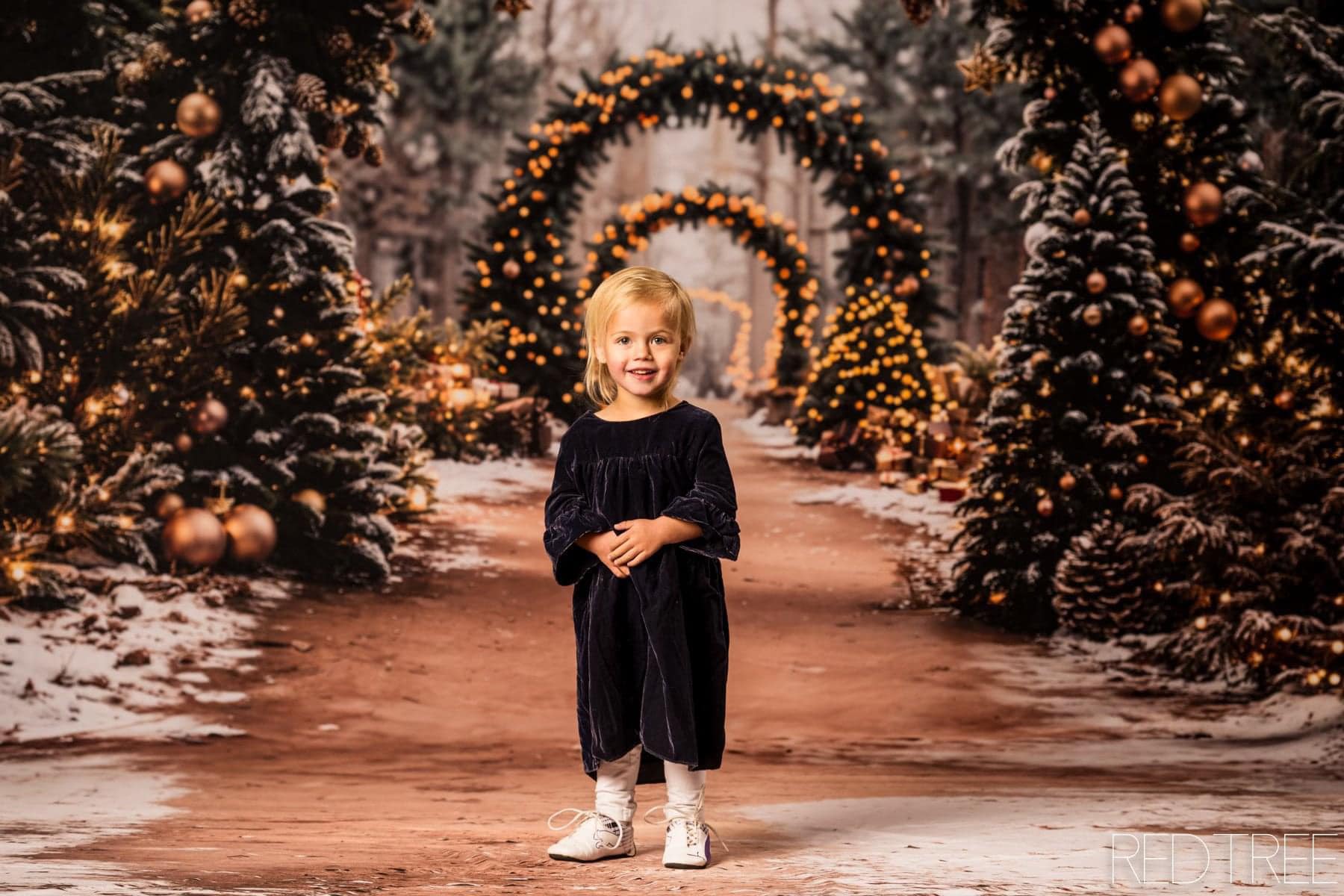 Kate Christmas Tree Archway Forest Backdrop Designed by Emetselch