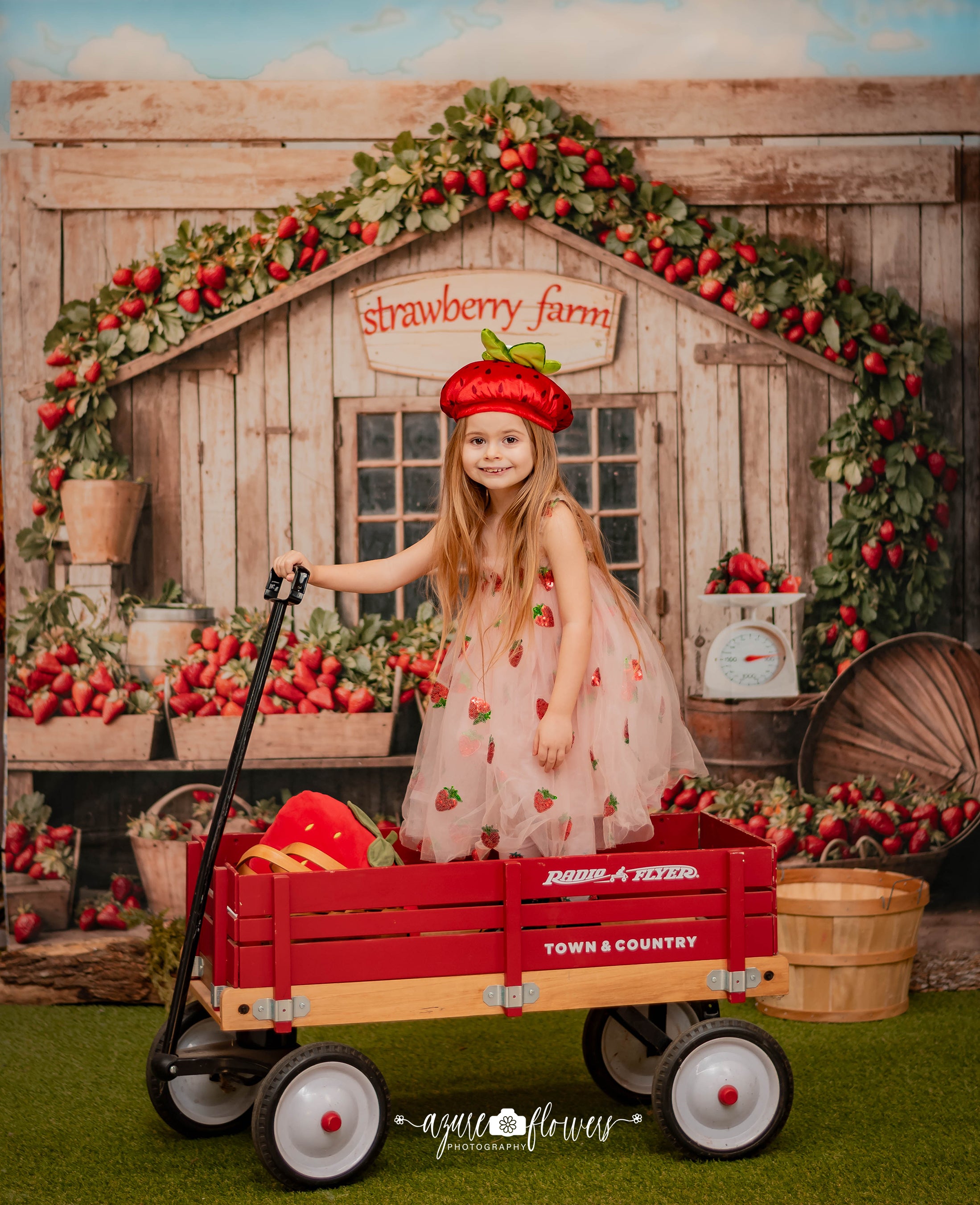 Kate Strawberry Farm Wooden House Backdrop Designed by Emetselch