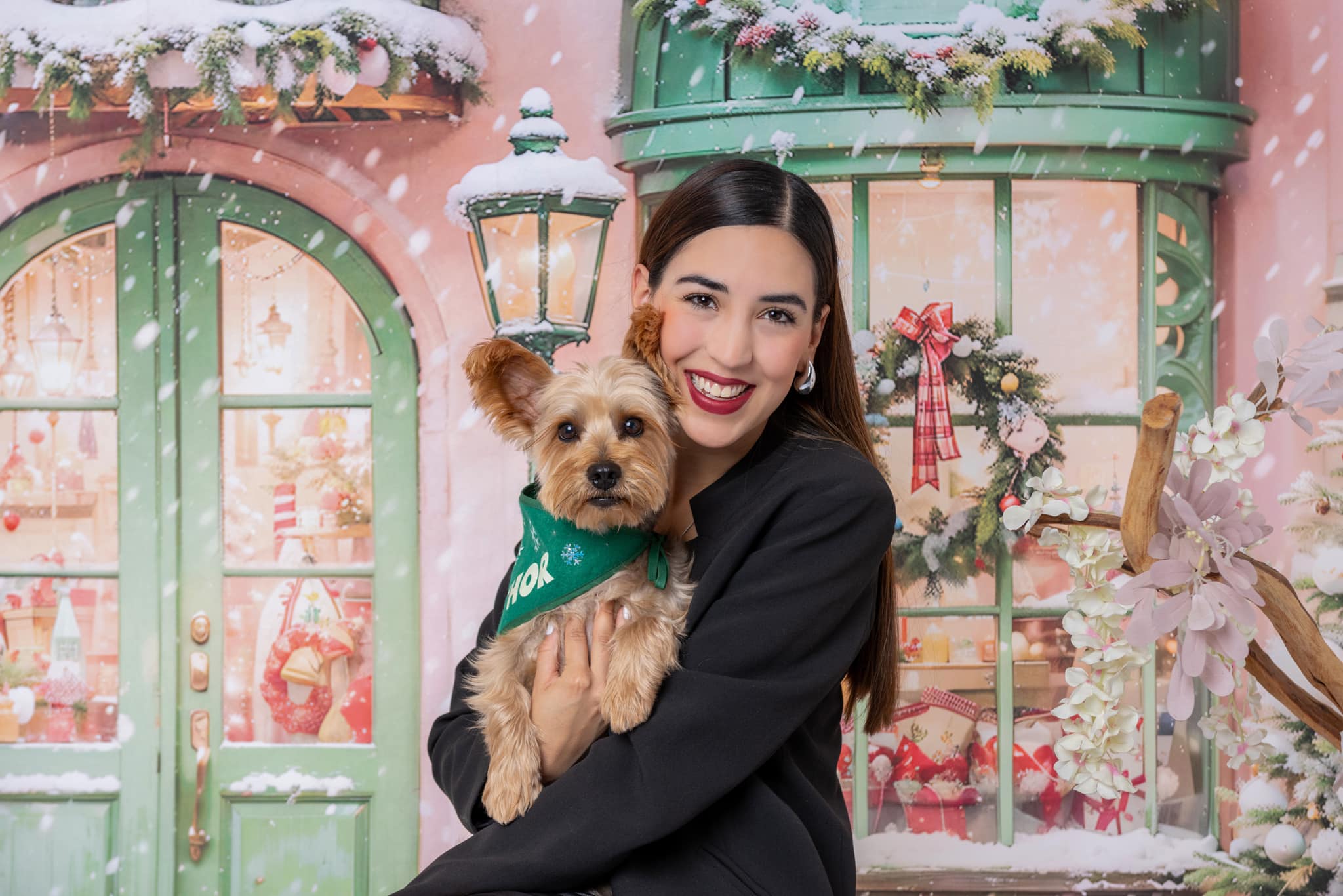 Kate Snow Christmas Tree Holiday Shop Backdrop Designed by Chain Photography