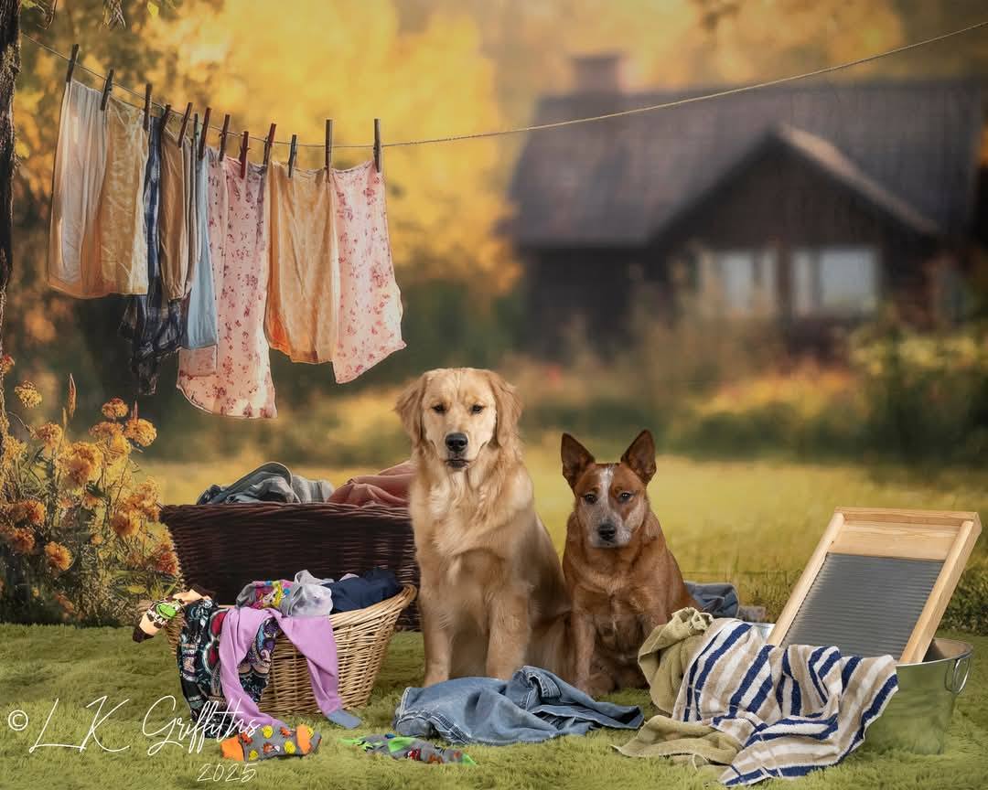 AUSALE Kate Spring Laundry Day Backdrop Designed by Lidia Redekopp