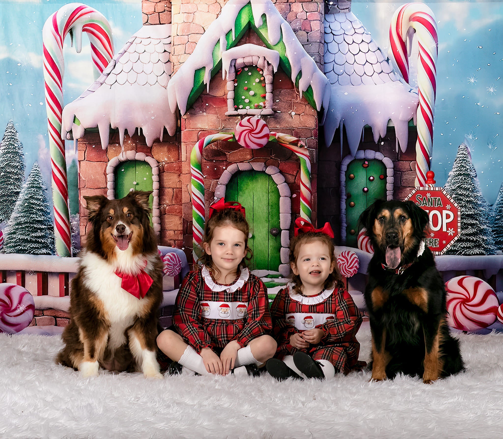 Kate Snow Candy Christmas House Backdrop Designed by Emetselch