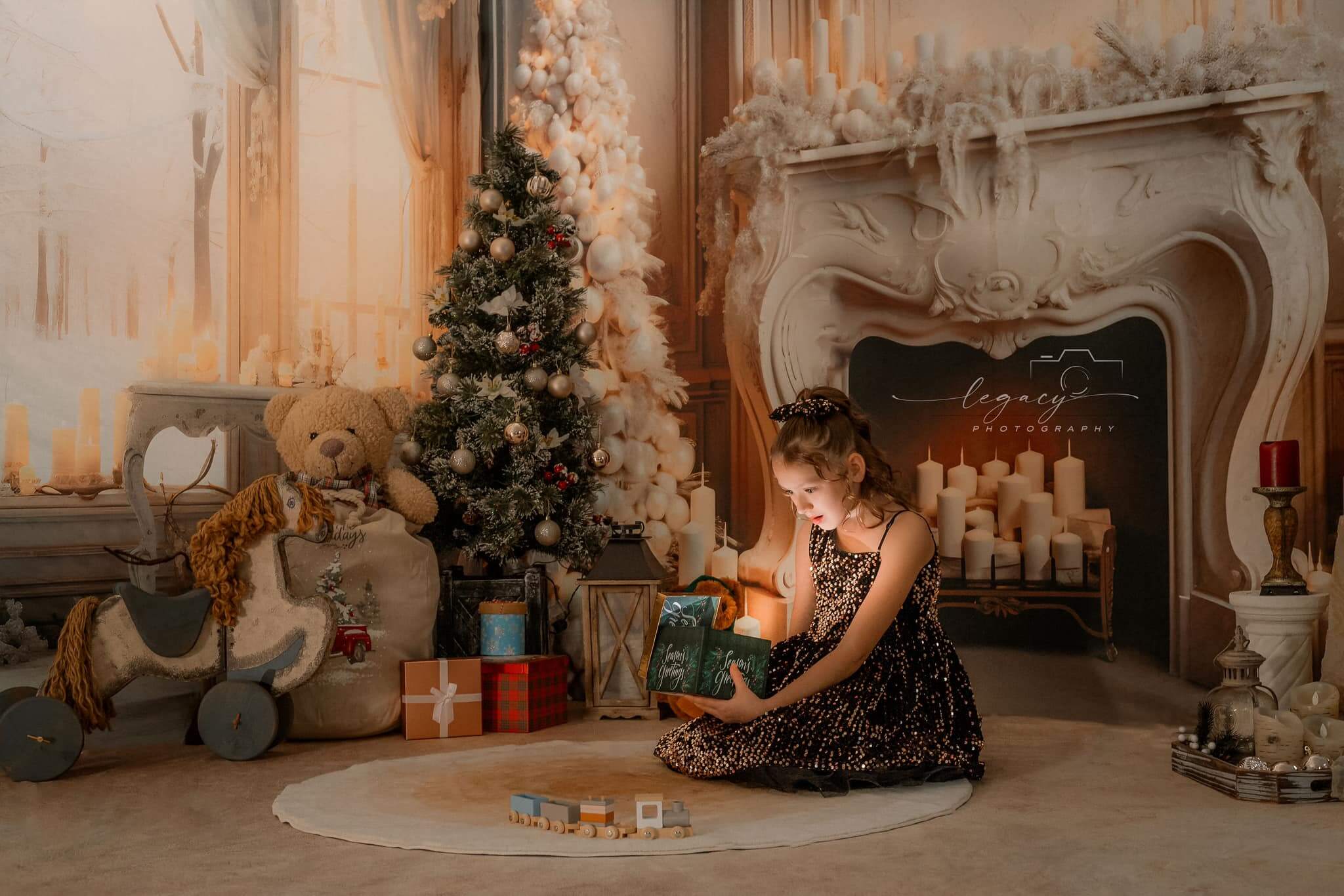Kate Christmas Fireplace Winter Room Set(8ftx8ft&10ftx8ft&8ftx10ft)