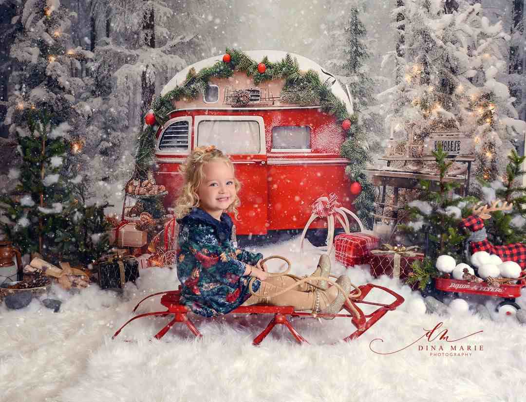 Kate Christmas Outdoor Snow Backdrop Forest for Photography