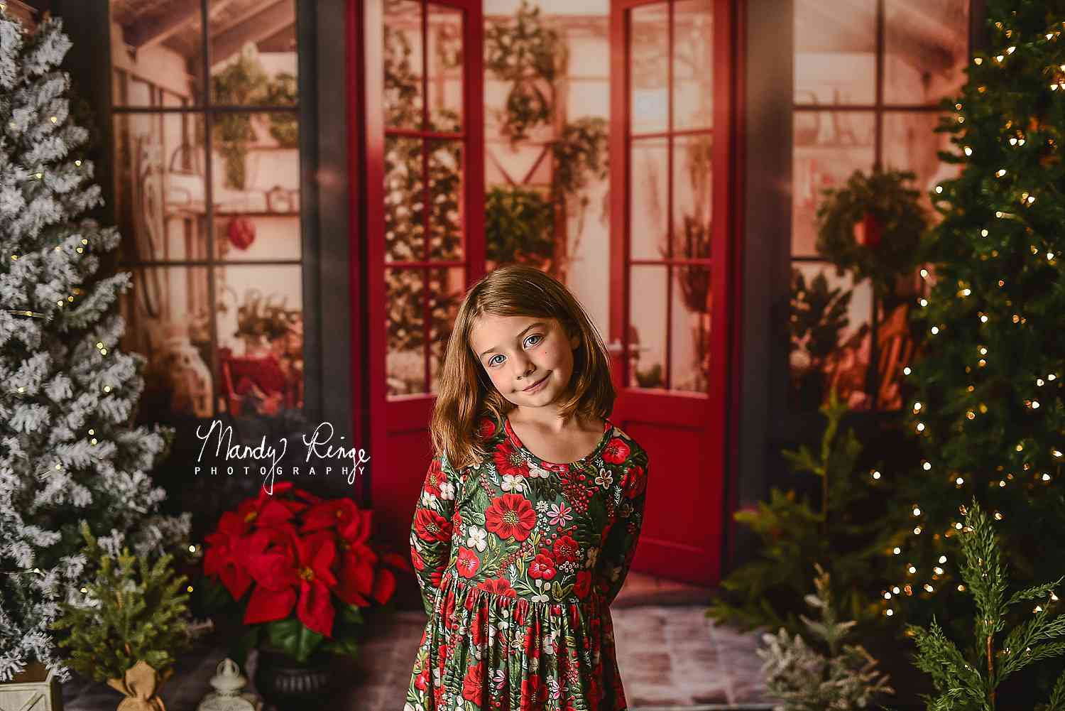 Kate Christmas Holiday Greenhouse Red Backdrop Designed by Mandy Ringe Photography