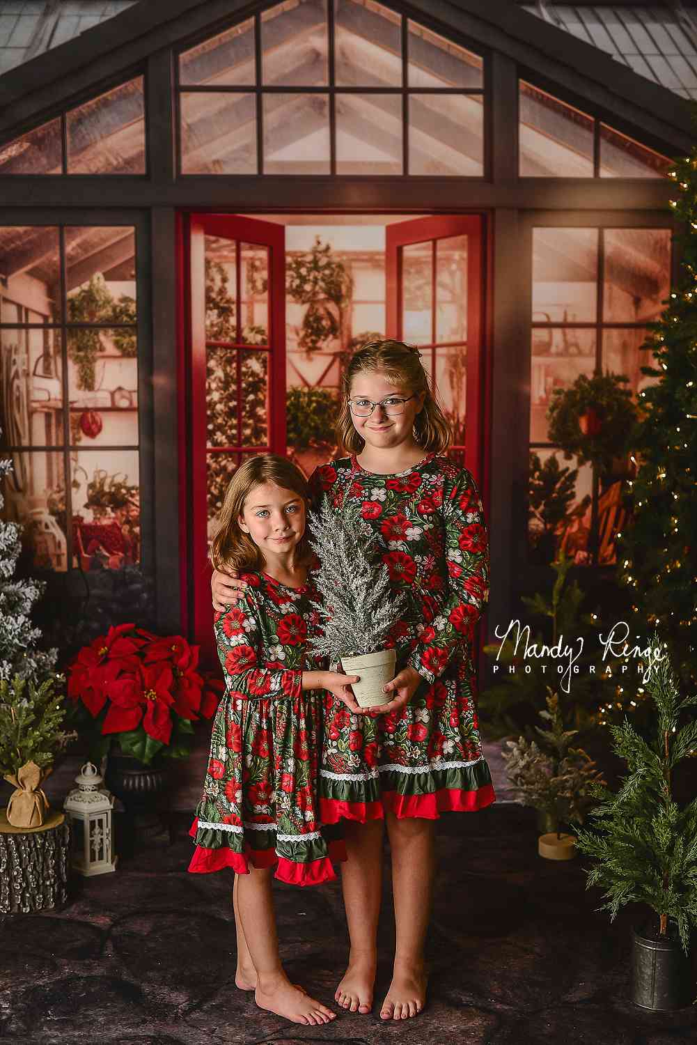 Kate Christmas Holiday Greenhouse Red Backdrop Designed by Mandy Ringe Photography