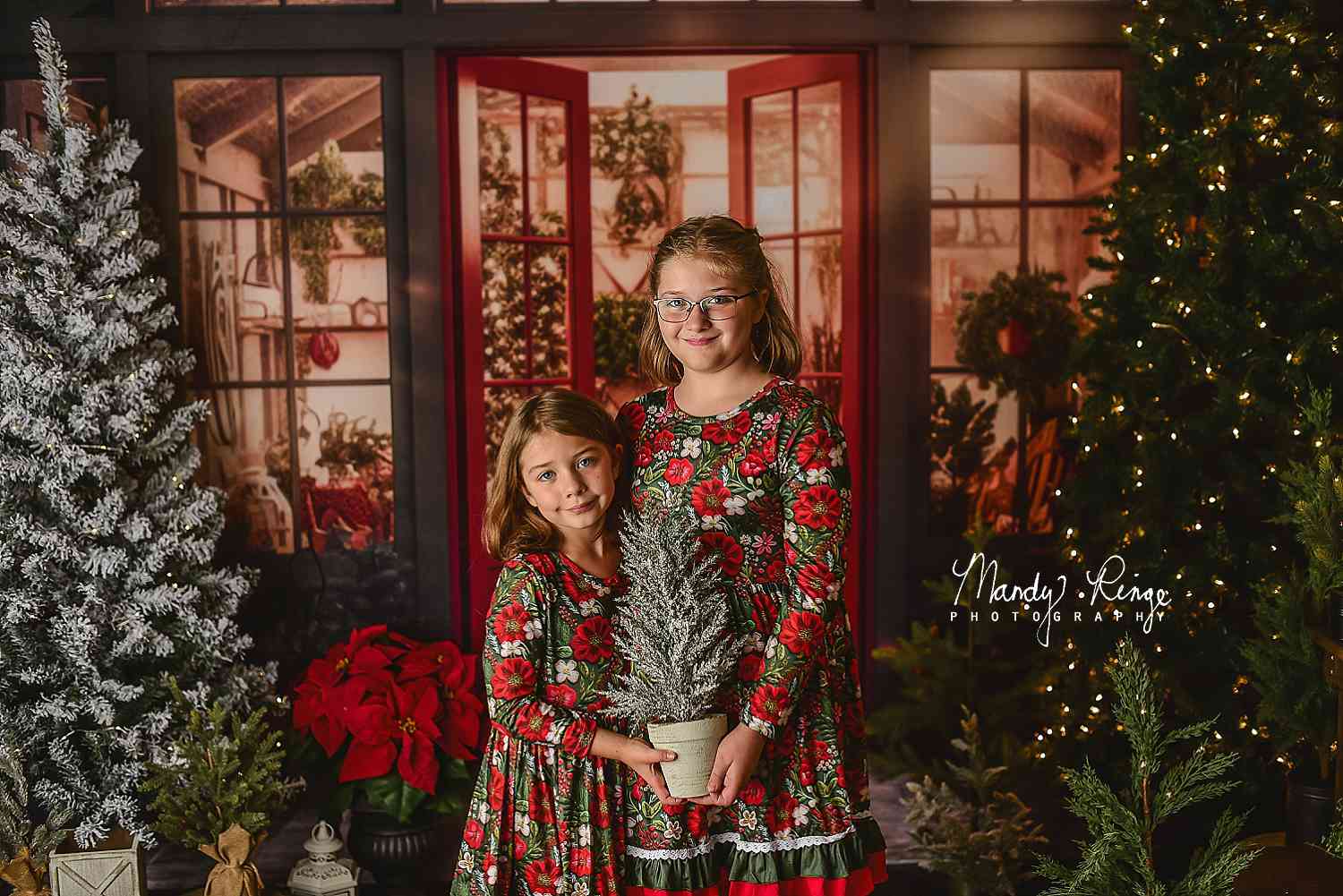 Kate Christmas Holiday Greenhouse Red Backdrop Designed by Mandy Ringe Photography