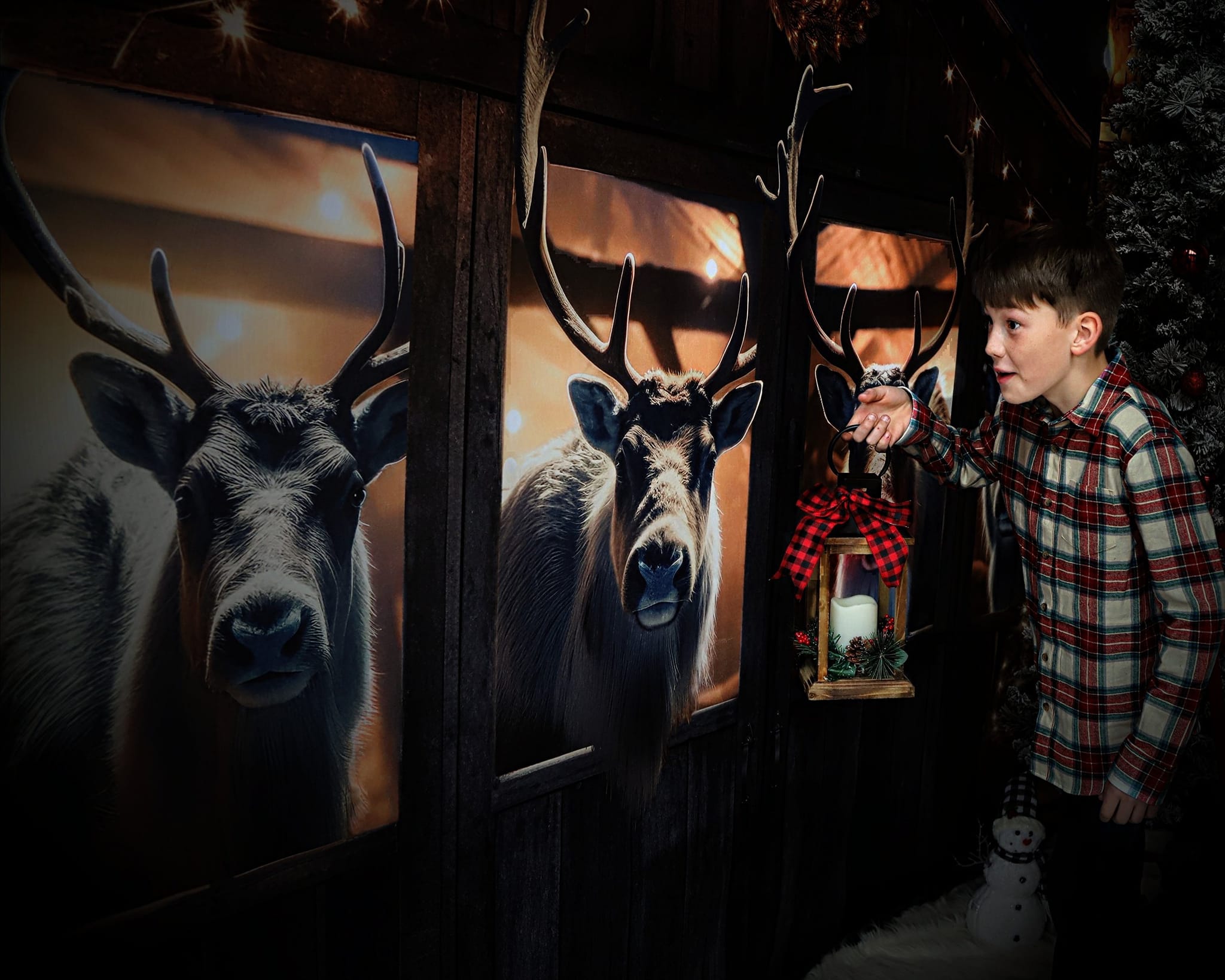 Kate Christmas Reindeer- Stall at Night Backdrop Designed by Mini MakeBelieve