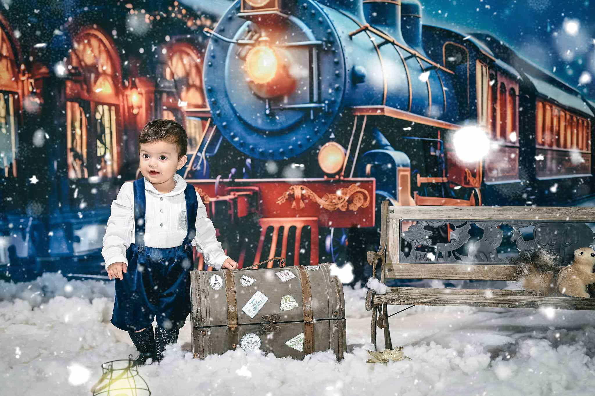 Kate Christmas Winter Train Backdrop for Photography