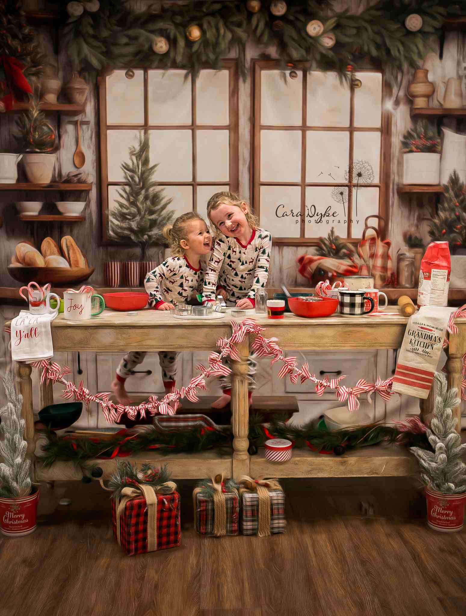 Kate White Christmas Kitchen Backdrop Designed by Emetselch