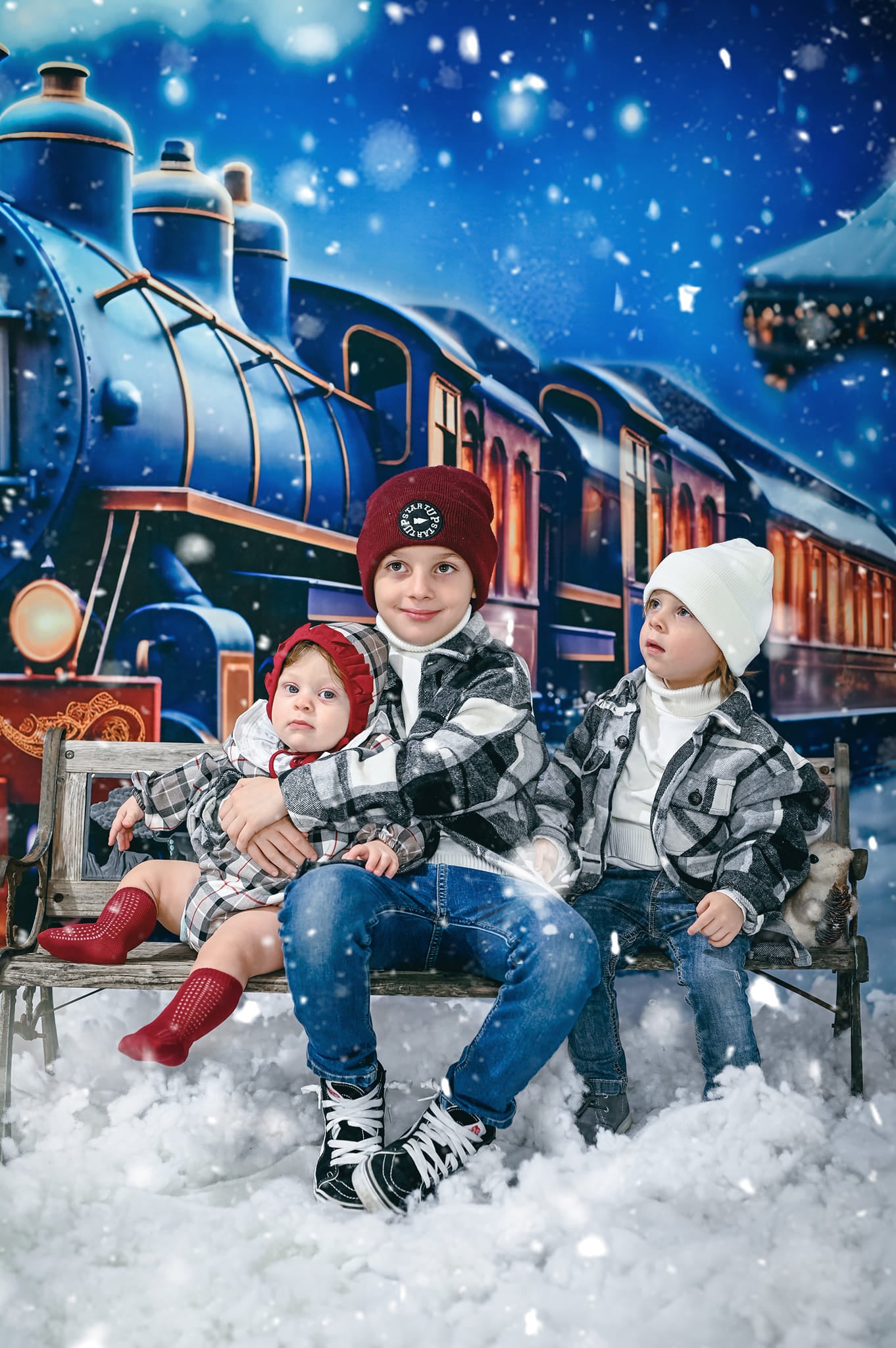 Kate Christmas Winter Train Backdrop for Photography