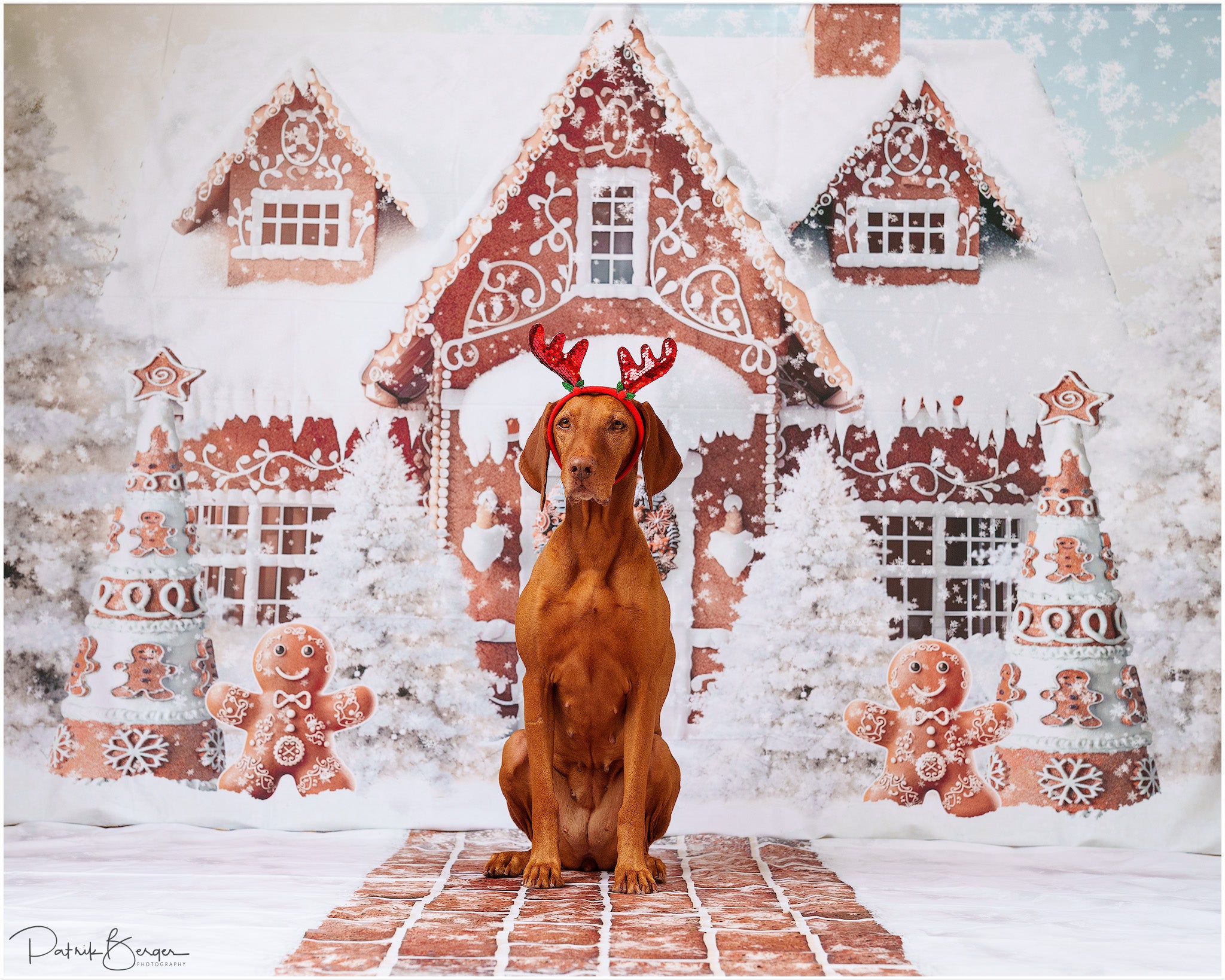 Kate Snow Gingerbread House Backdrop+Gingerbread House Floor Mat Backdrop for Photography