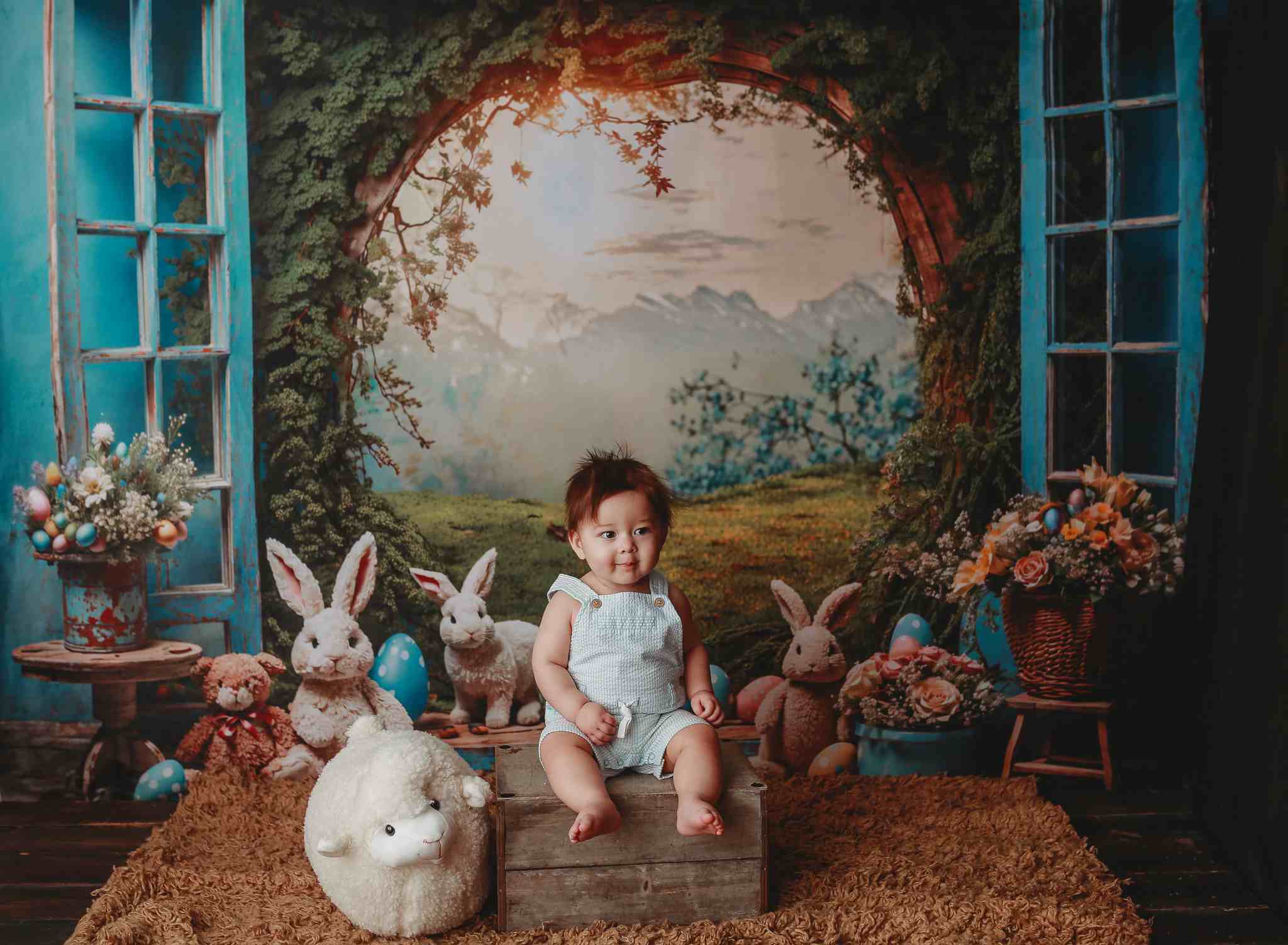 Lightning Deals-1 Kate Easter Bunny Window View Backdrop for Photography