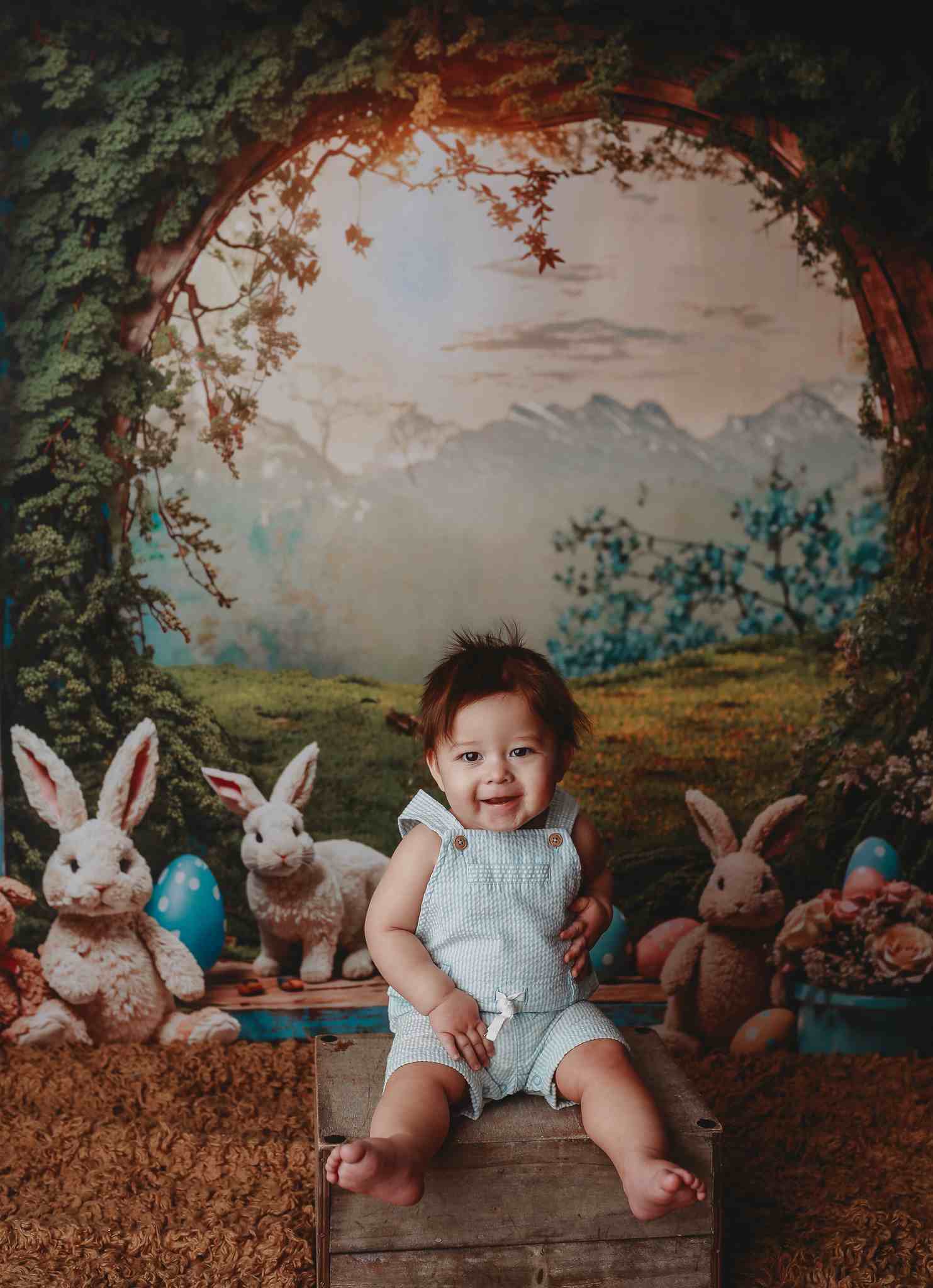 Lightning Deals-1 Kate Easter Bunny Window View Backdrop for Photography