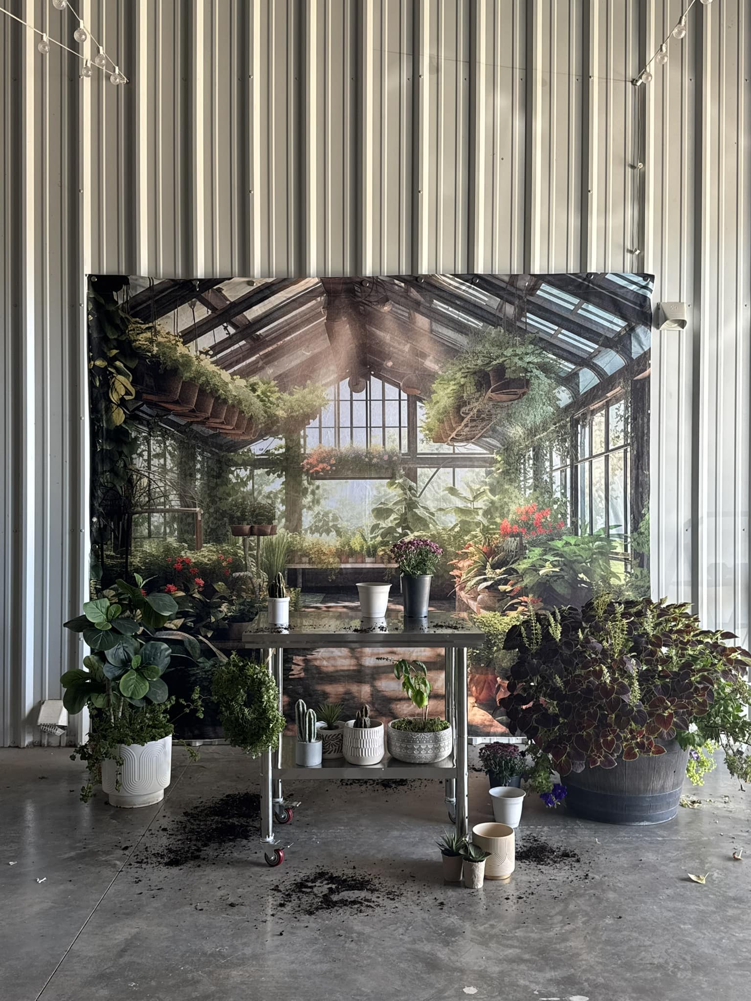 Kate Spring Greenhouse Backdrop Designed by Abbas Studio