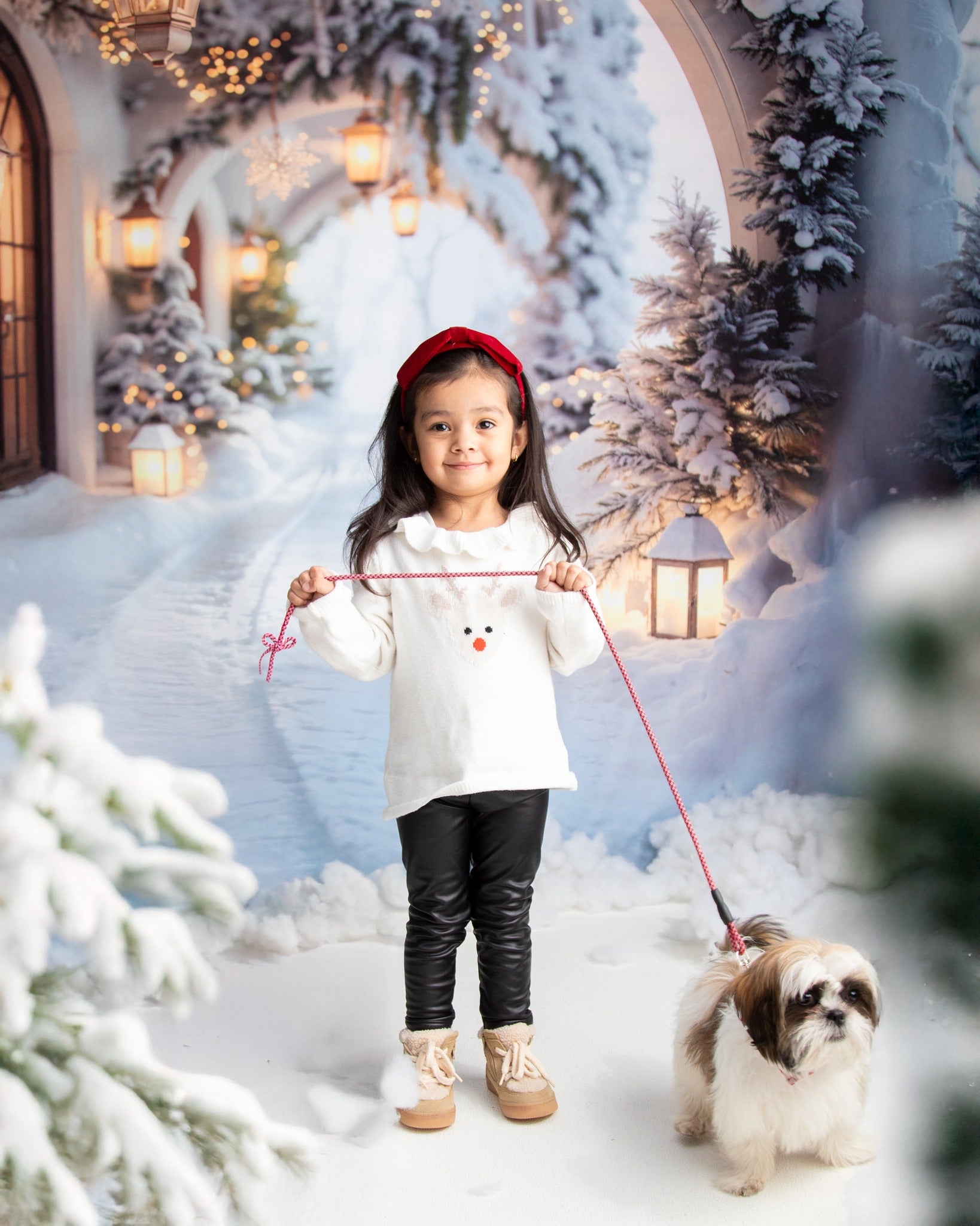 Kate Christmas Winter Snow Arch Backdrop Designed by Emetselch