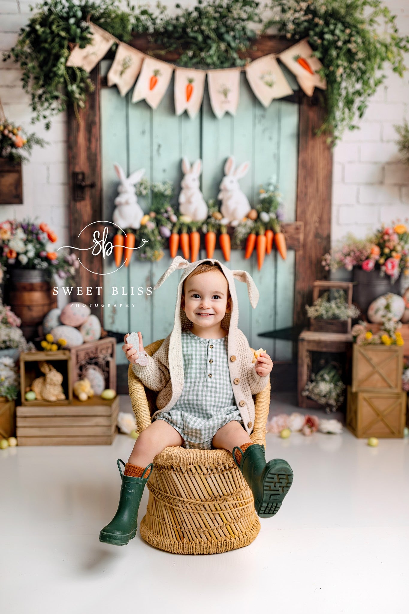 Kate Easter Bunny Carrots Door Wood Backdrop Designed by Emetselch