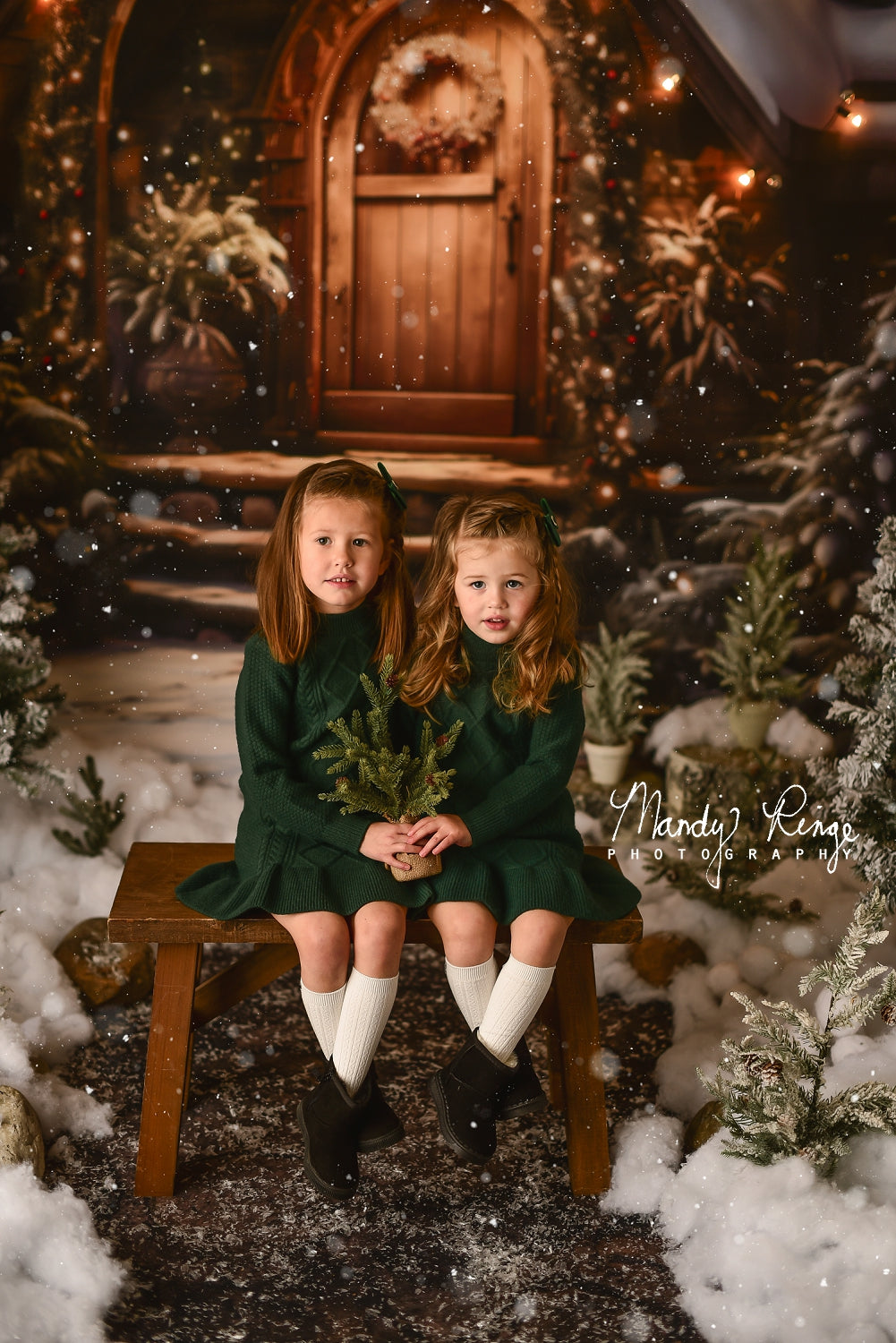 Kate Christmas Wooden House Backdrop Designed by Chain Photography