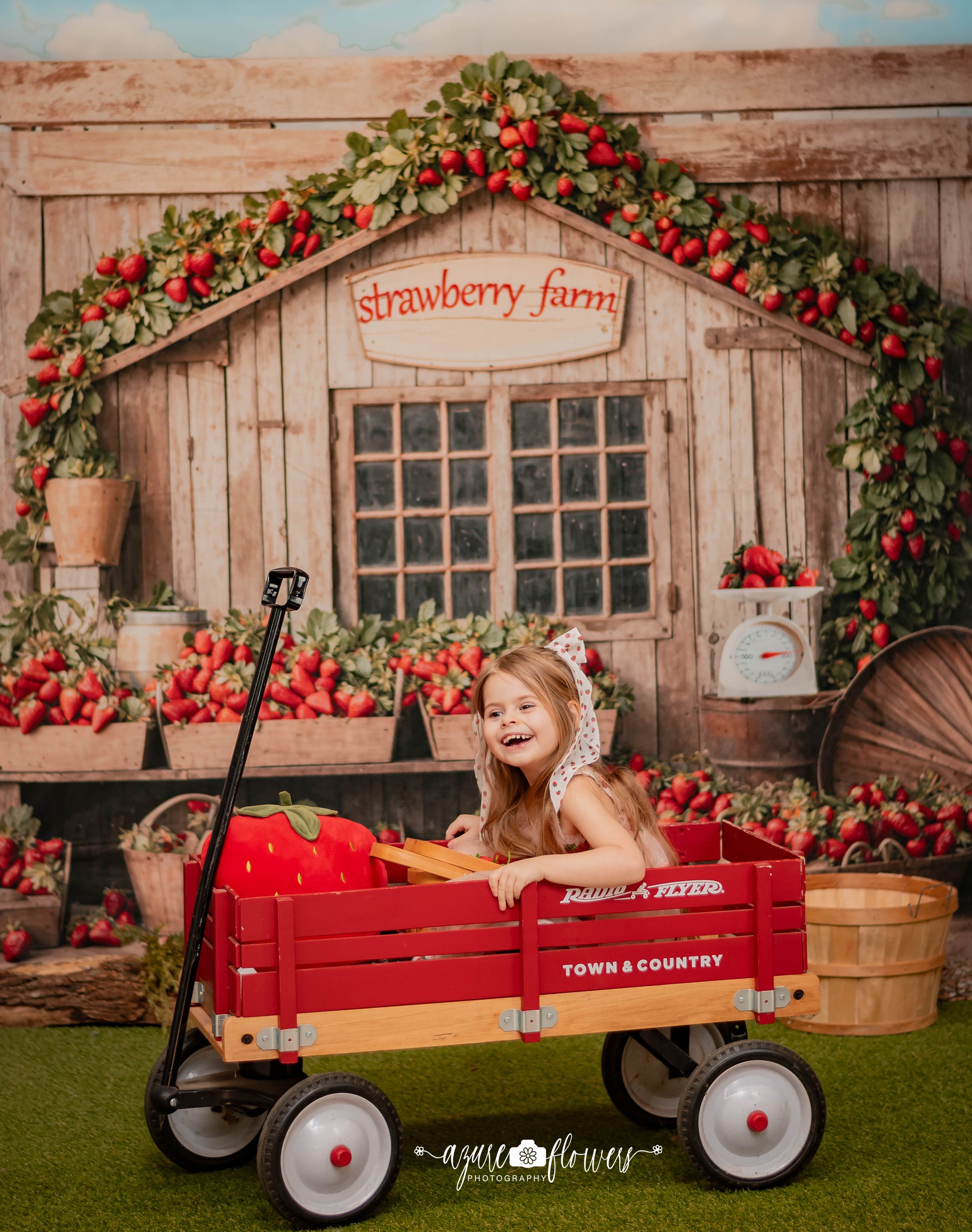 Kate Strawberry Farm Wooden House Backdrop Designed by Emetselch