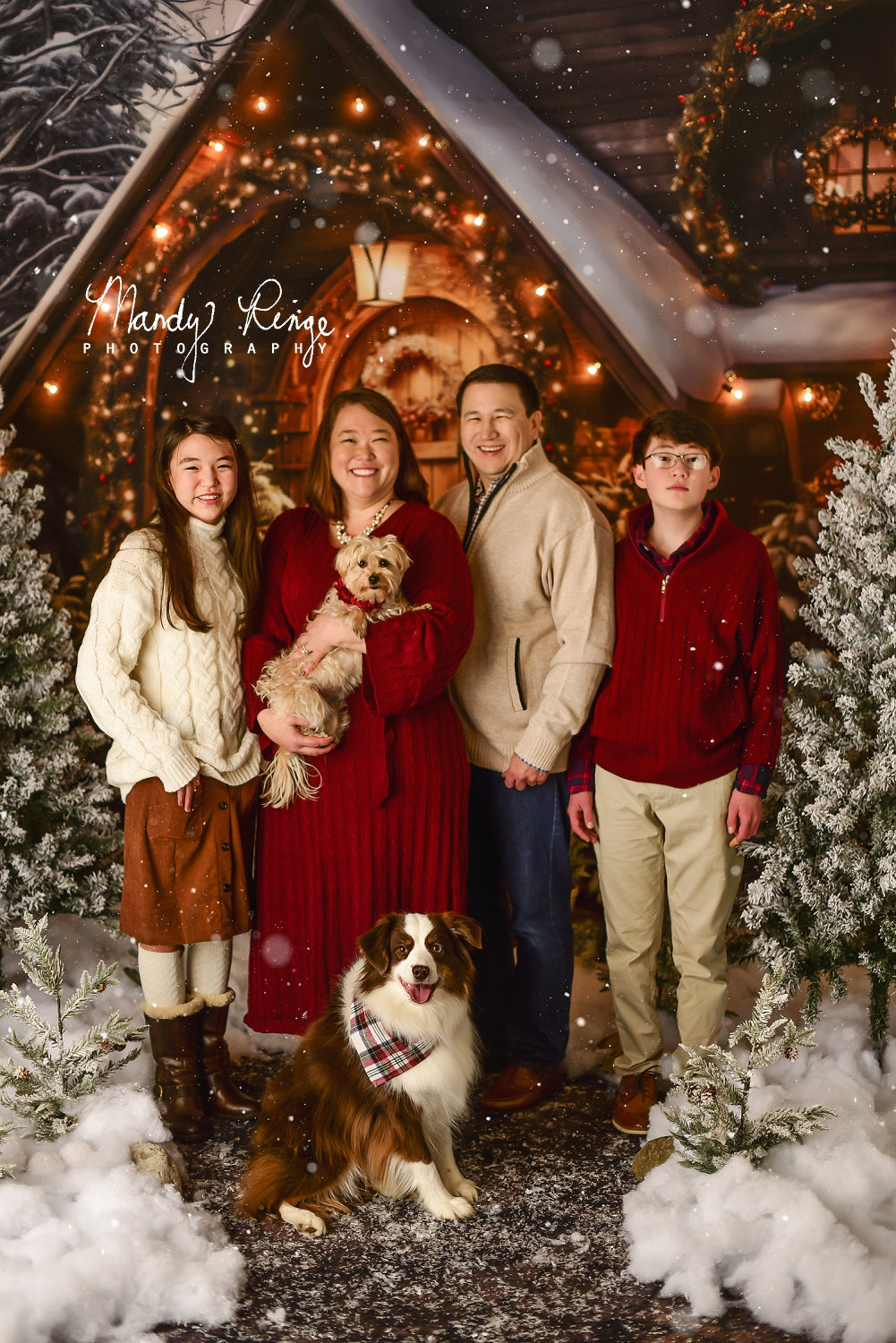 Kate Christmas Wooden House Backdrop Designed by Chain Photography