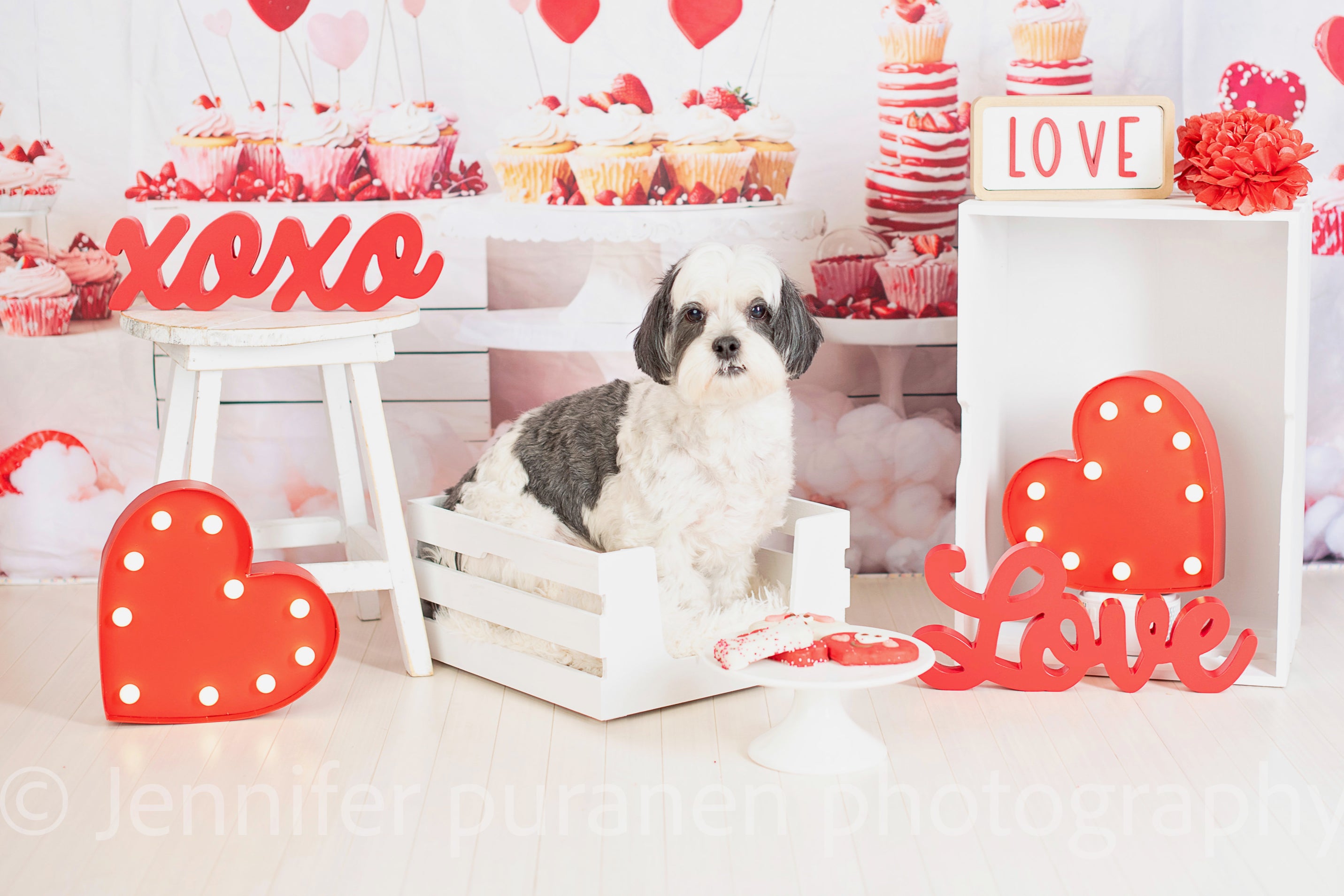 Kate Valentine Heart Cupcake Backdrop Designed by Emetselch