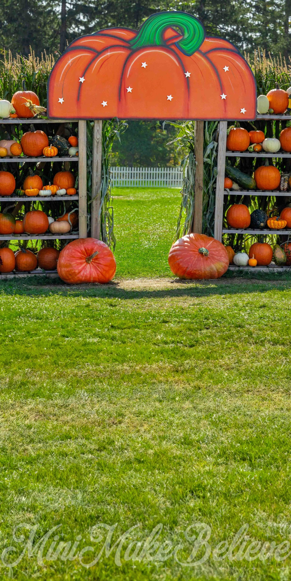 Kate Sweep Pumpkin House Backdrop for Photography Designed by Mini Makebelieve