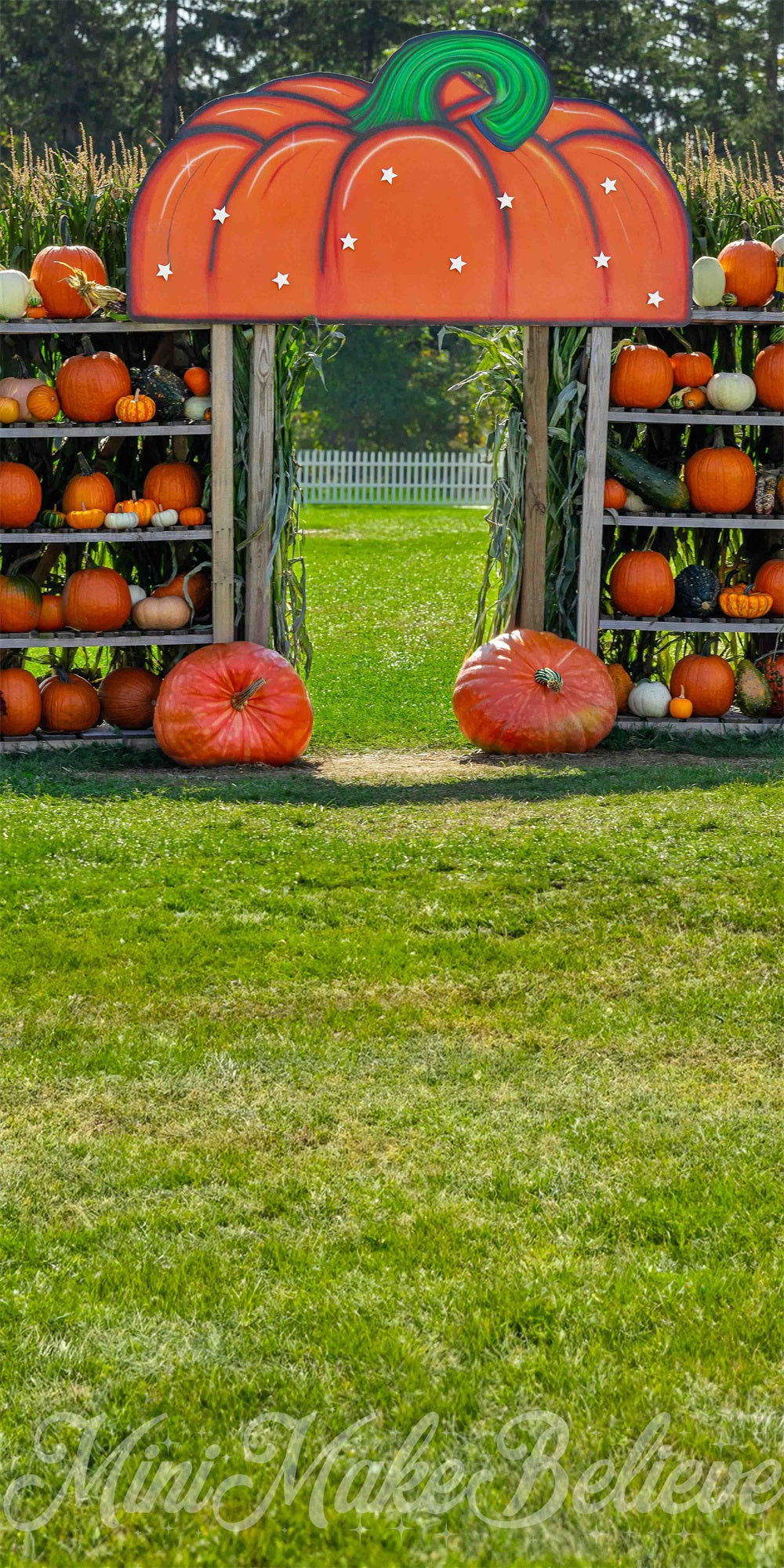 Kate Sweep Pumpkin House Backdrop for Photography Designed by Mini Makebelieve