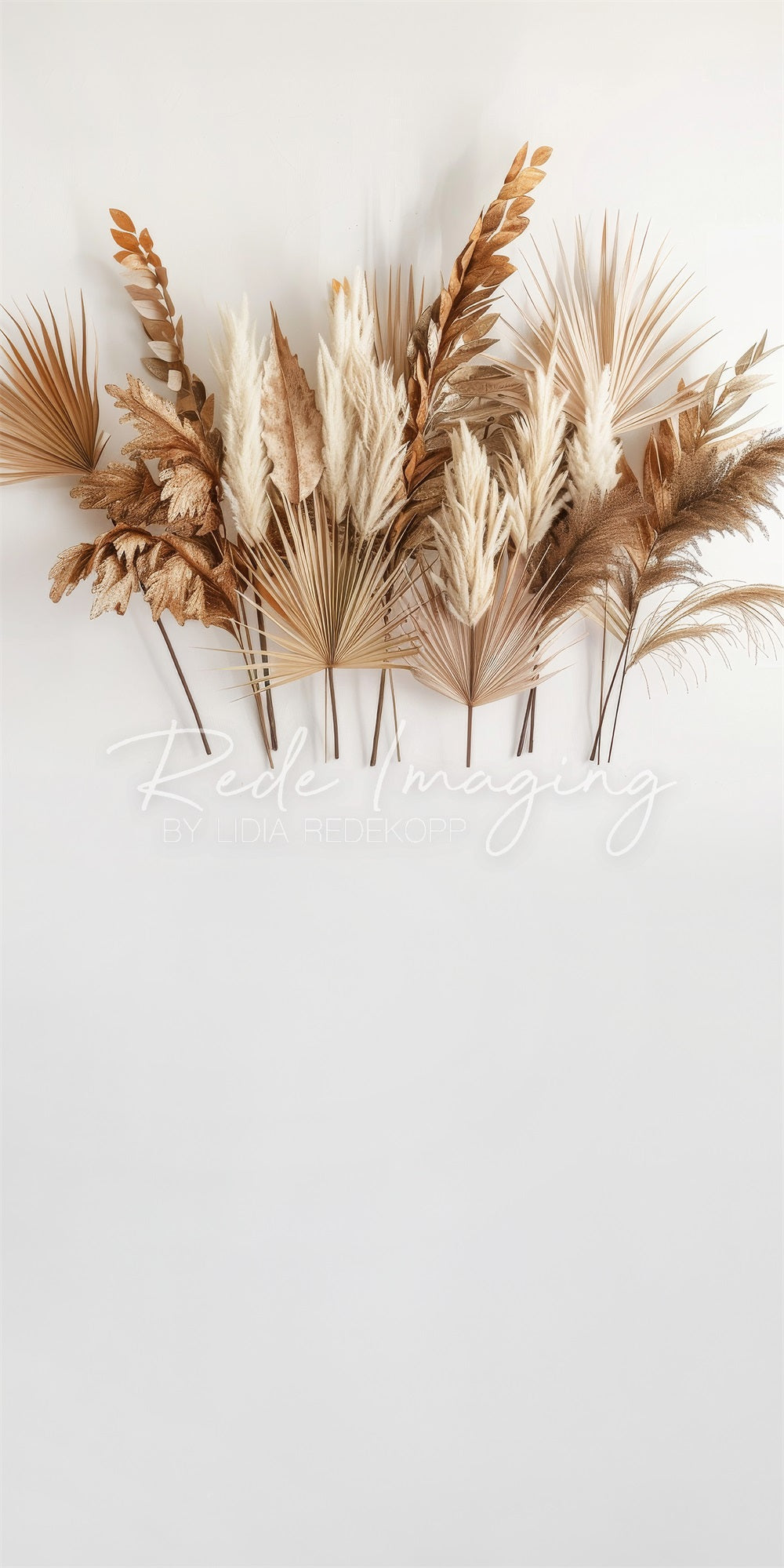 Kate Sweep Boho Backdrop Brown Reed Leaf White Wall Designed by Lidia Redekopp