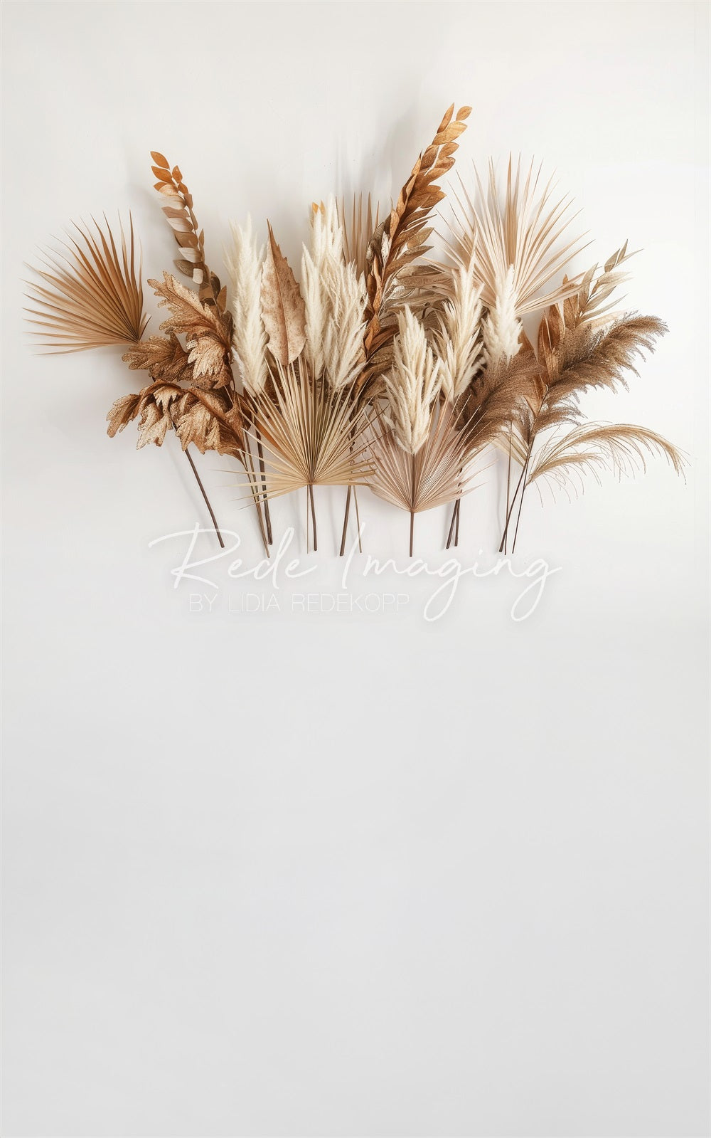 Kate Sweep Boho Backdrop Brown Reed Leaf White Wall Designed by Lidia Redekopp