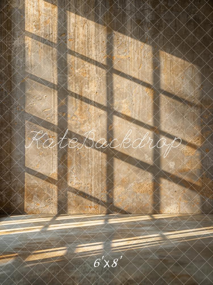 Kate Industrial Style Abstract Sunlight Wall Backdrop Designed by Emetselch