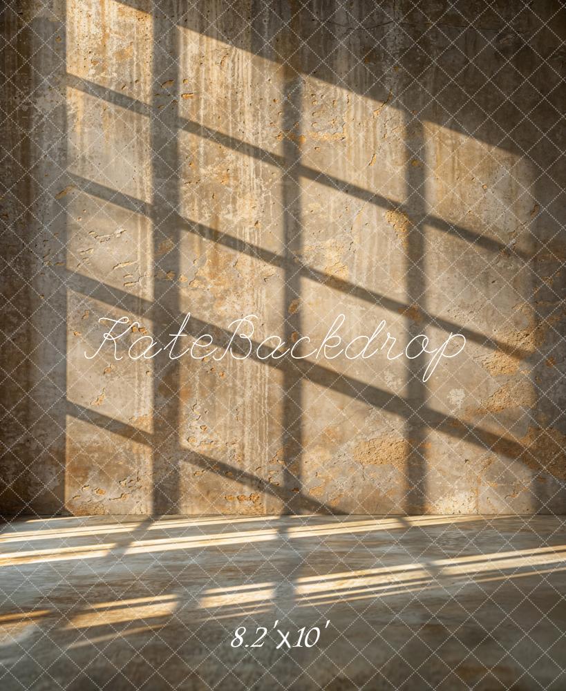 Kate Industrial Style Abstract Sunlight Wall Backdrop Designed by Emetselch