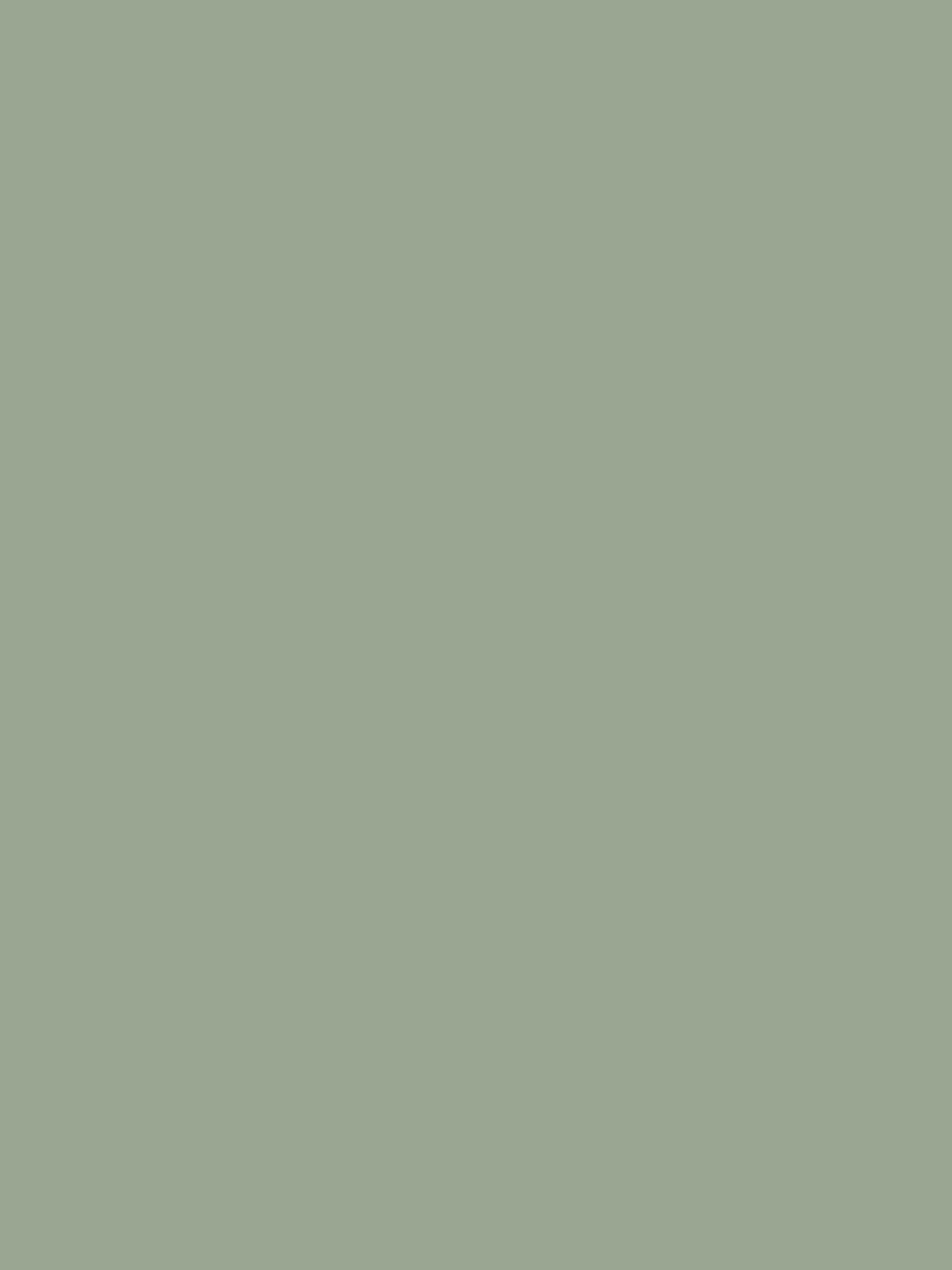 Kate Solid Gray Green Vinyl Floor Backdrop