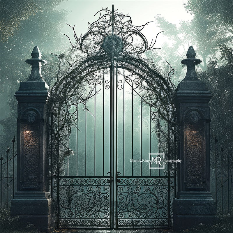 Kate Cemetary Gate at Night Backdrop Designed by Mandy Ringe Photography