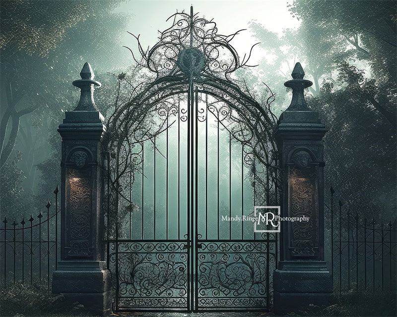 Kate Cemetary Gate at Night Backdrop Designed by Mandy Ringe Photography