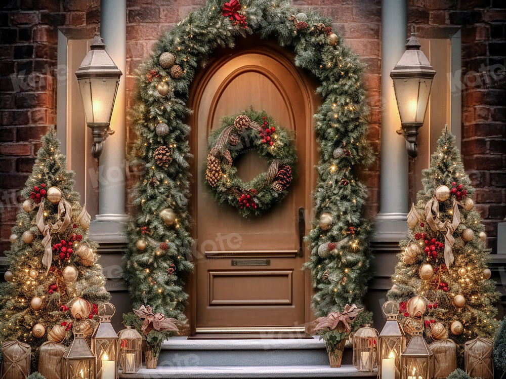 Kate Christmas Door Winter Backdrop for Photography