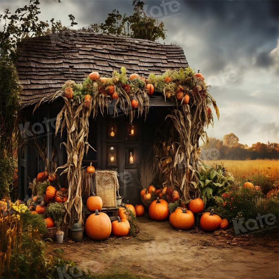 Kate Farm Pumpkin Harvest Backdrop for Photography