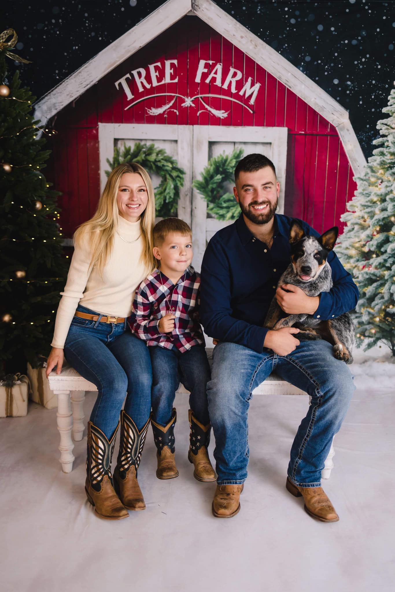 Kate Winter Christmas Tree Farm Backdrop