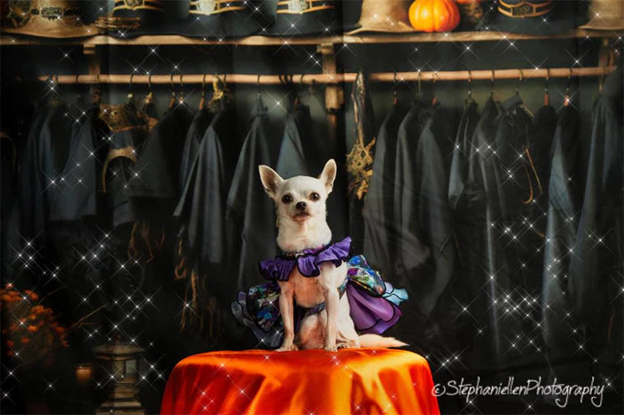 Kate Halloween Dresses Backdrop for Photography