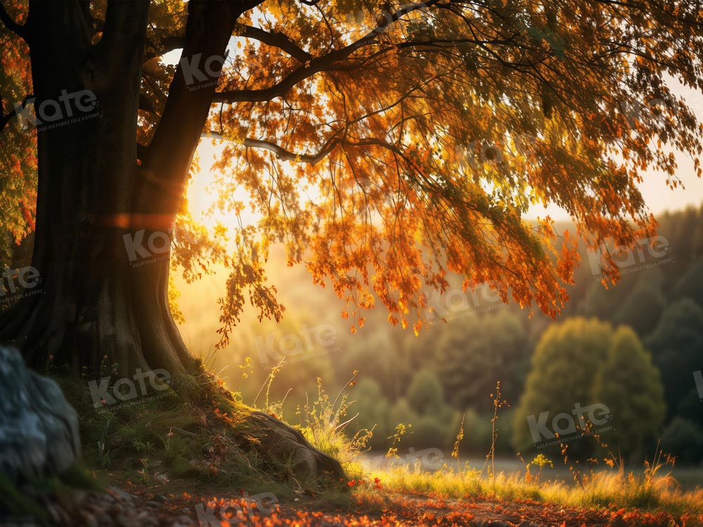 Kate Autumn Sunny Tree Backdrop for Photography