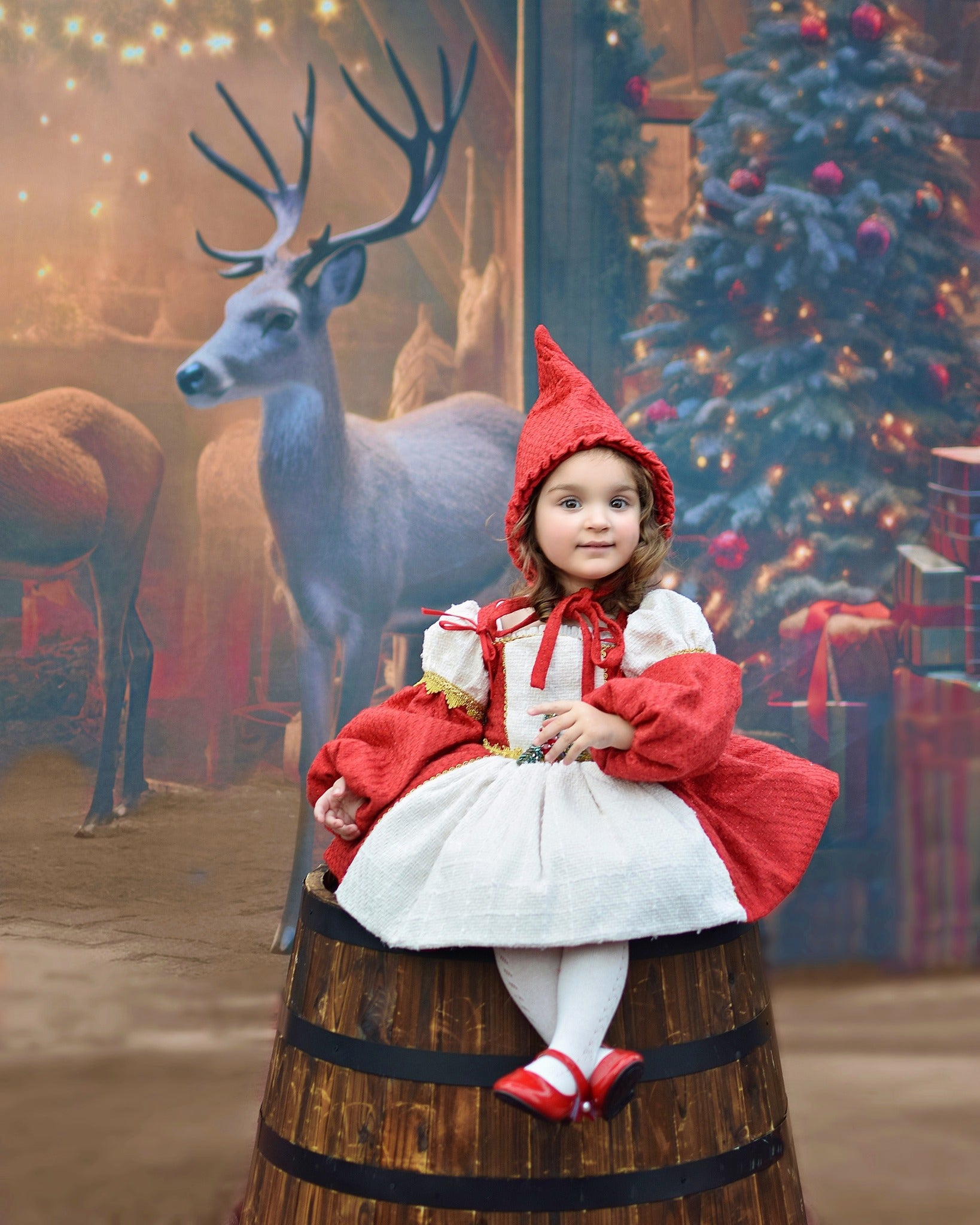 Kate Christmas Reindeer Stable Backdrop Designed by Lidia Redekopp