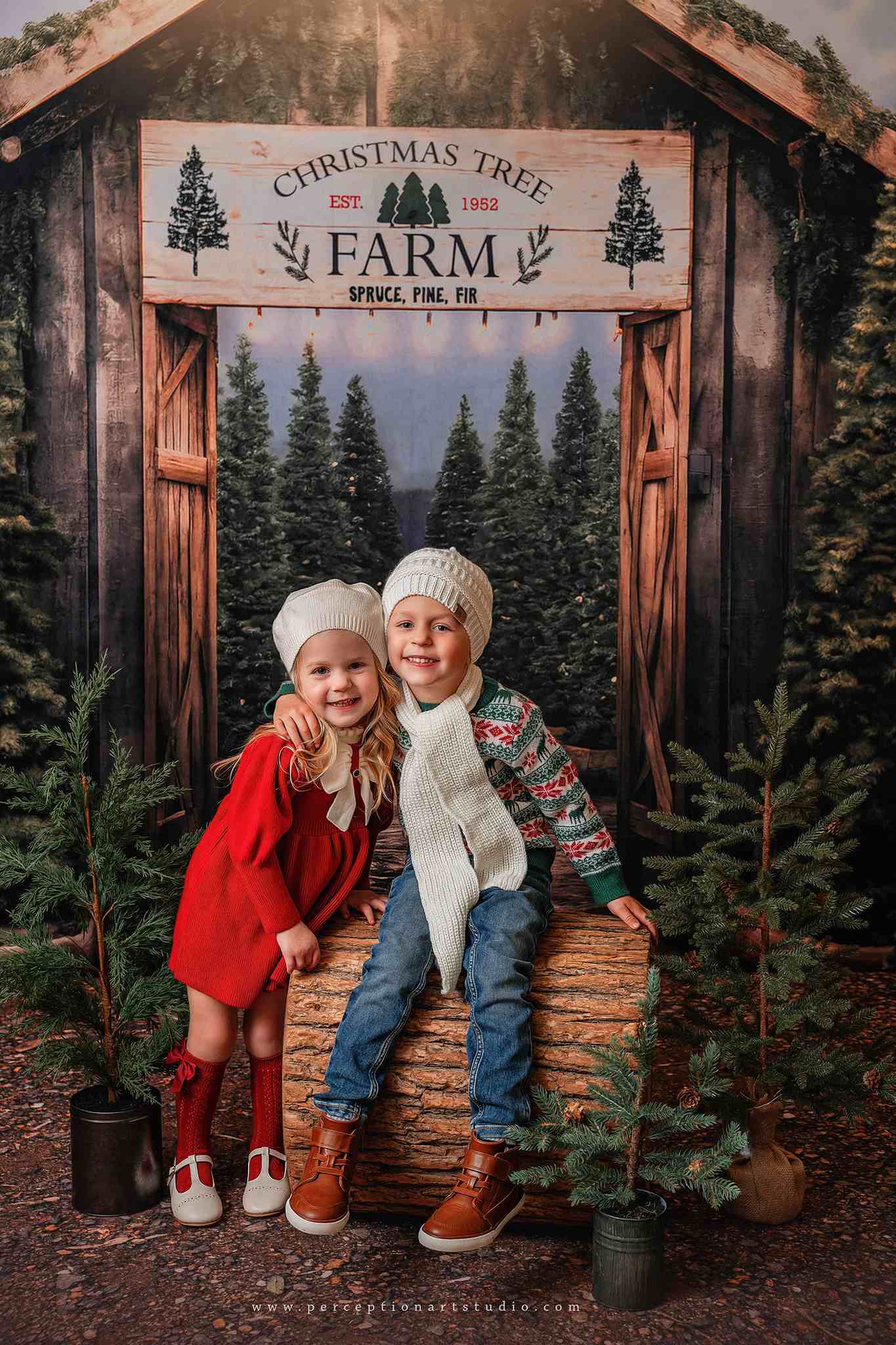 Kate Christmas Tree Farm Entrance Backdrop for Photography